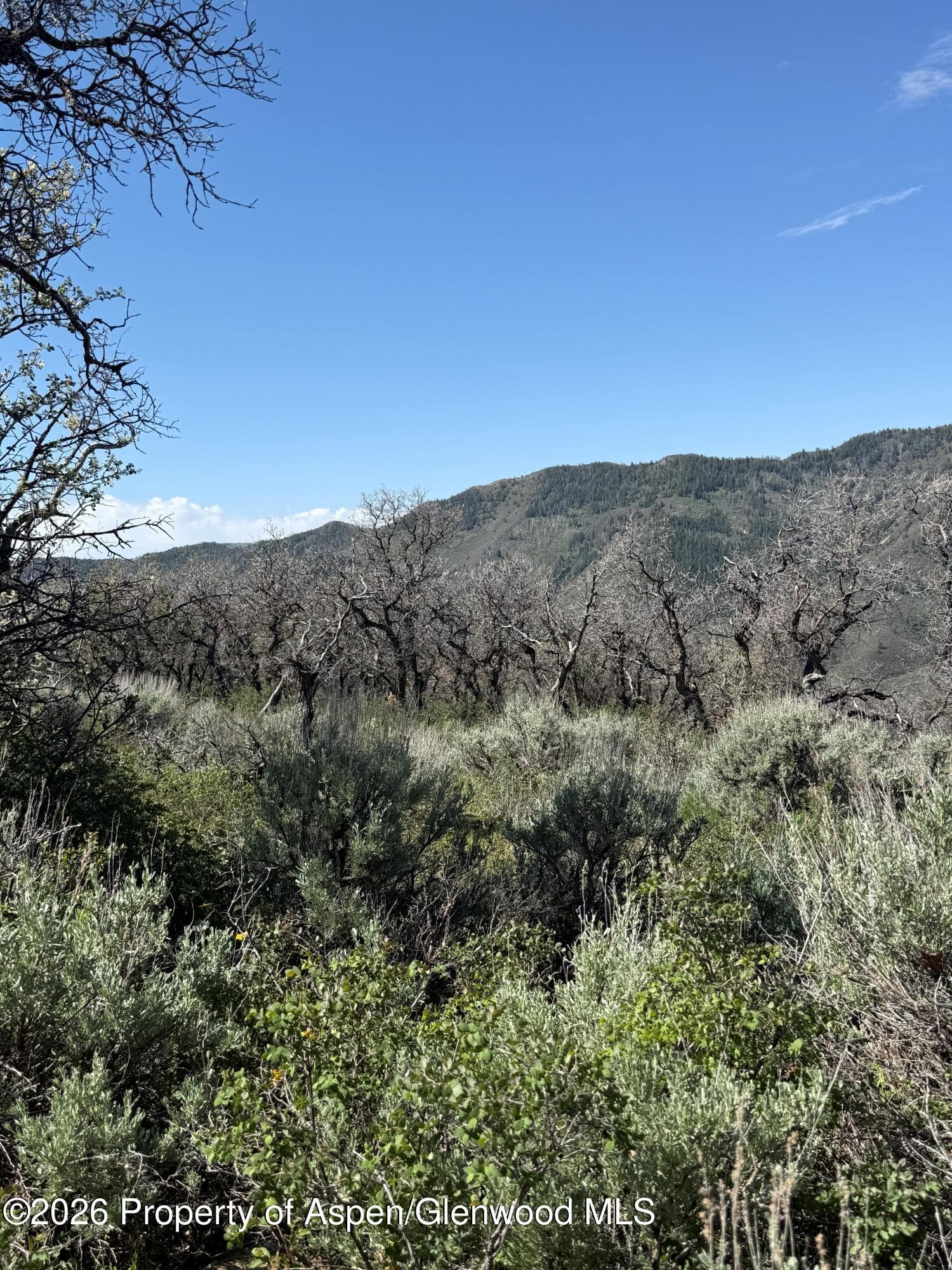 0 South Fork Road, Rifle, CO 81650 - Photo 9