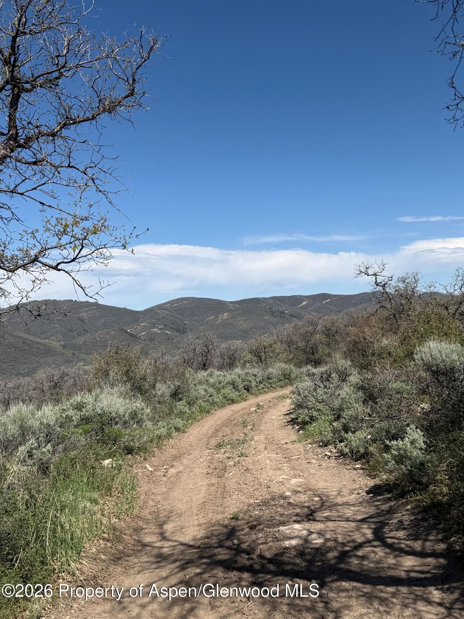 0 South Fork Road, Rifle, CO 81650 - Photo 10