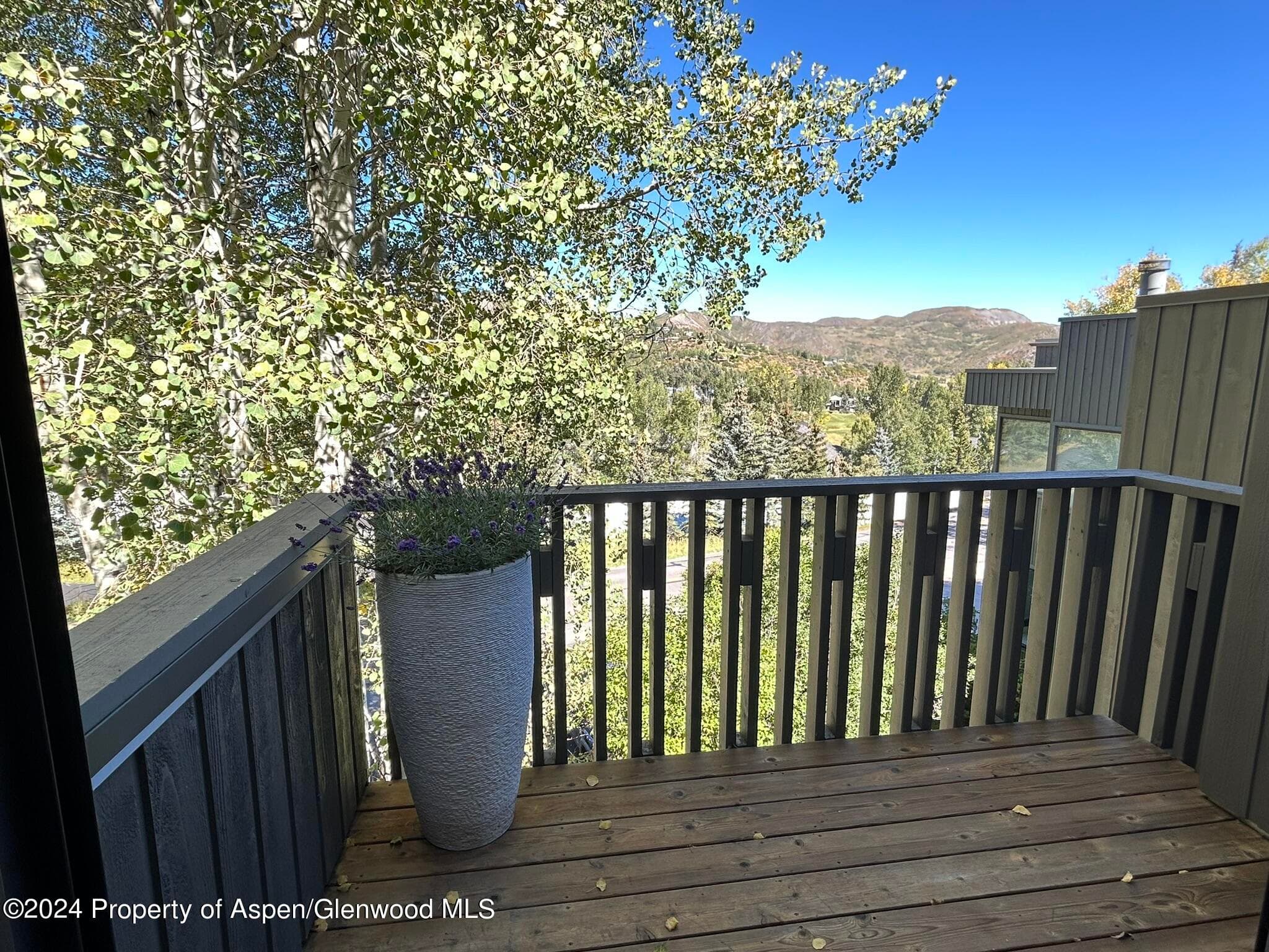 330 Meadow Ranch Road C-22, Snowmass Village, CO 81615 - Photo 10