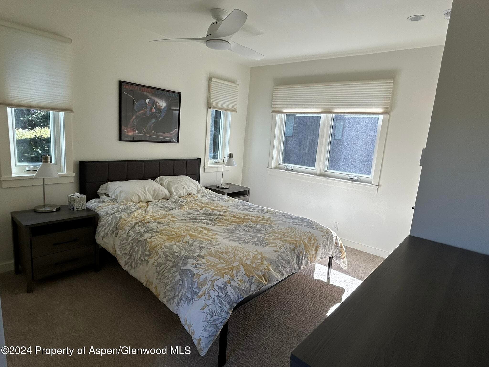 330 Meadow Ranch Road C-22, Snowmass Village, CO 81615 - Photo 12