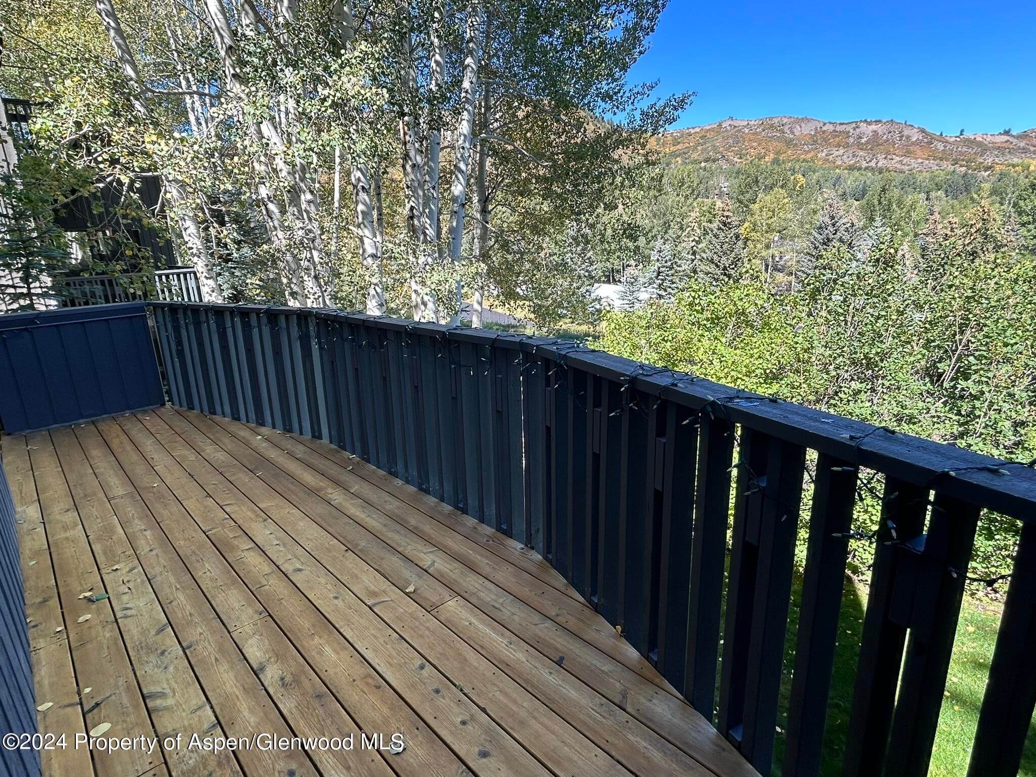 330 Meadow Ranch Road C-22, Snowmass Village, CO 81615 - Photo 17