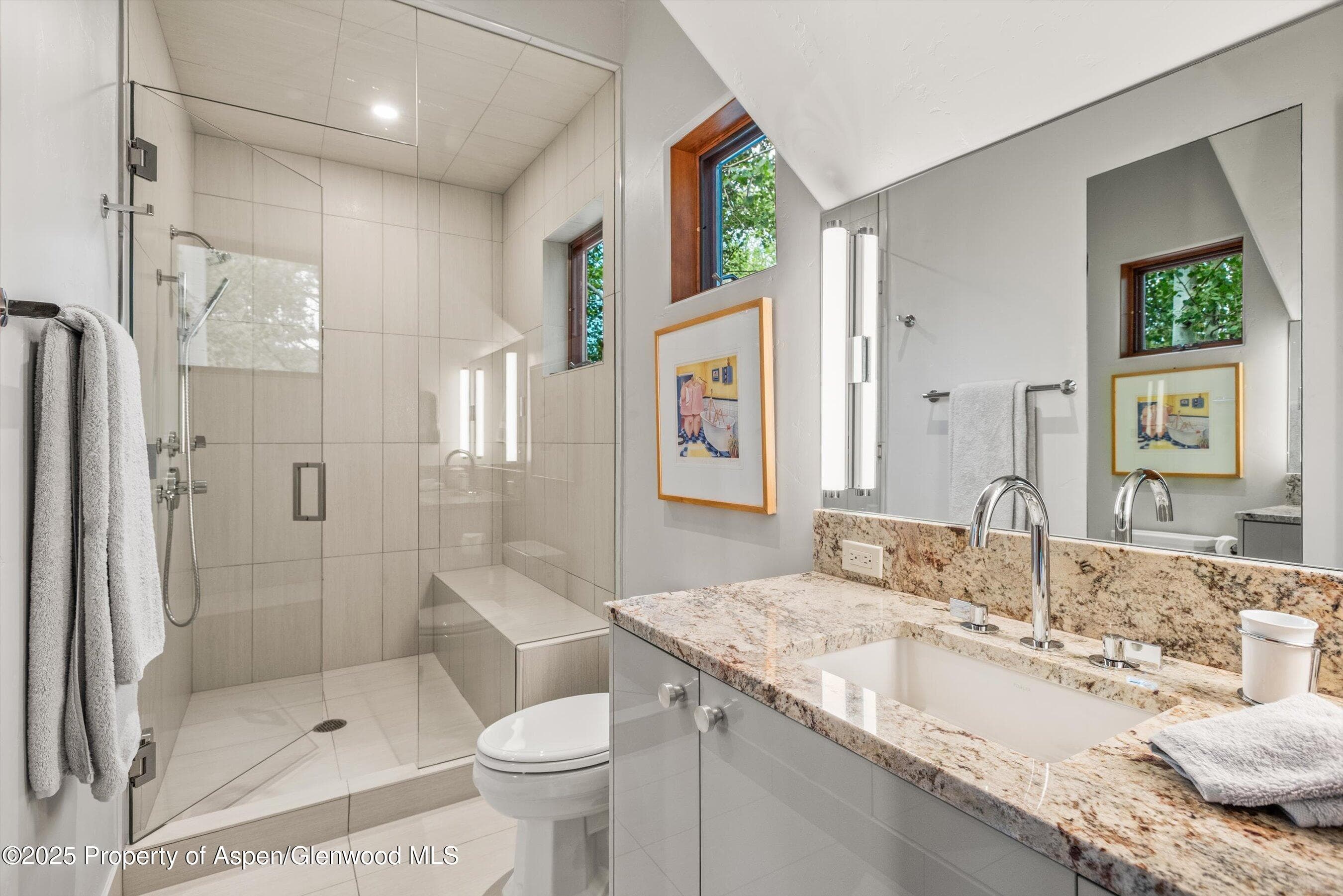 477 Aspen Oak Drive, Aspen, CO 81611 - Photo 38