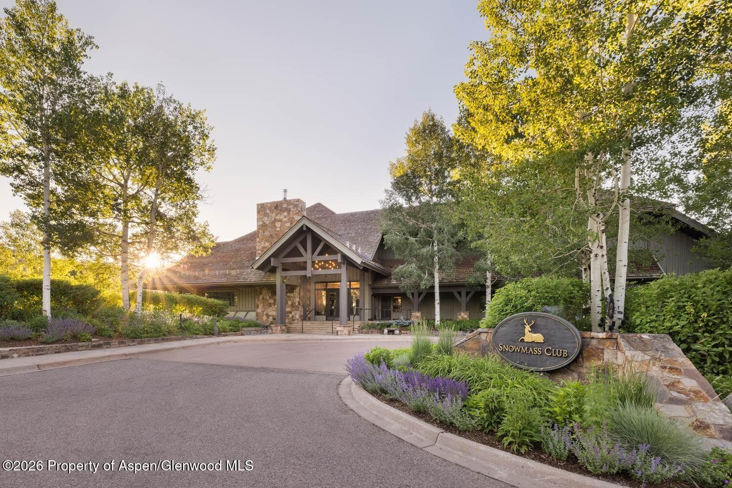 134 Snowmass Club Circle 140, Snowmass Village, CO 81615 - Photo 8