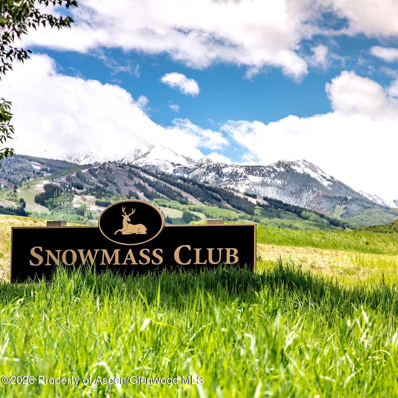 134 Snowmass Club Circle 140, Snowmass Village, CO 81615 - Photo 17