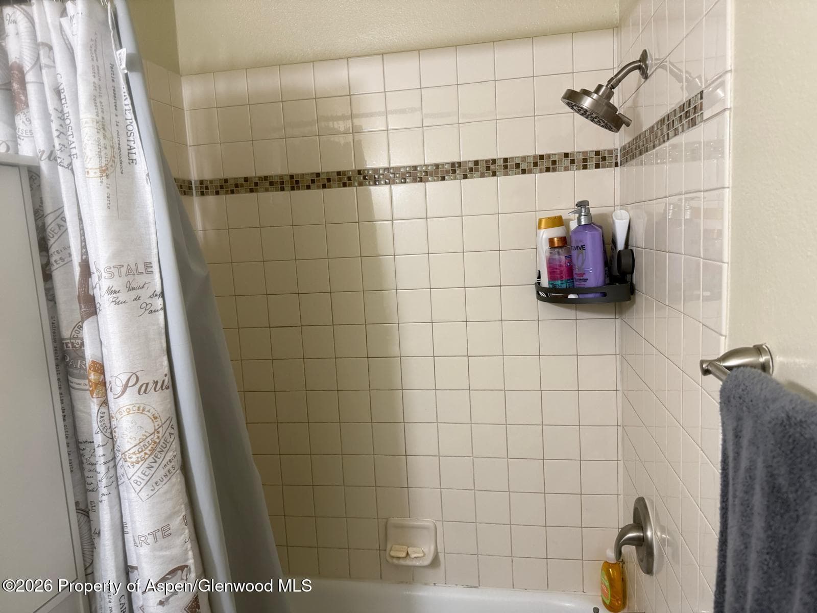 51519 1 Hwy 6 C-43, Glenwood Springs, CO 81623 - Photo 5