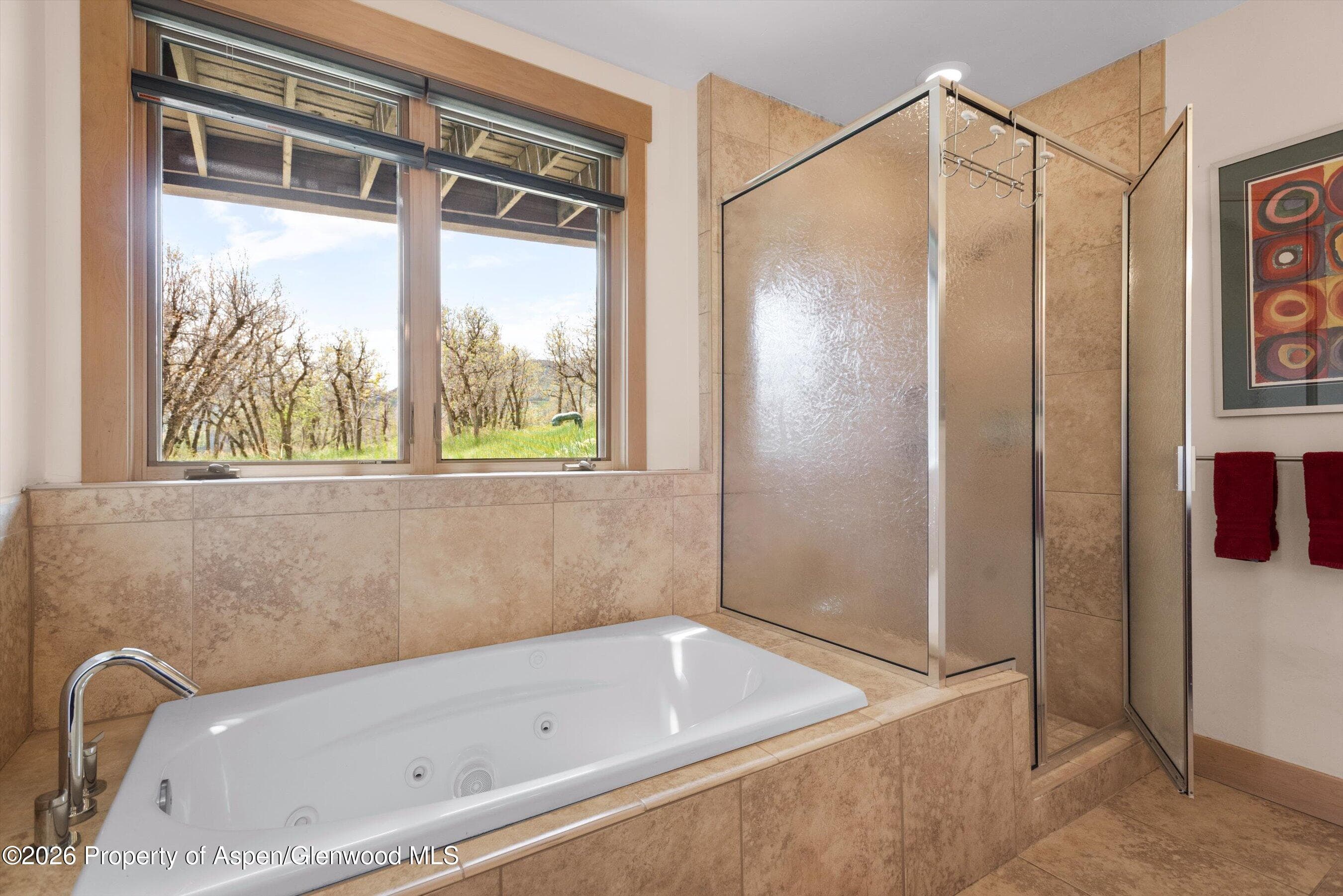 707 Shield O Road, Snowmass, CO 81654 - Photo 29