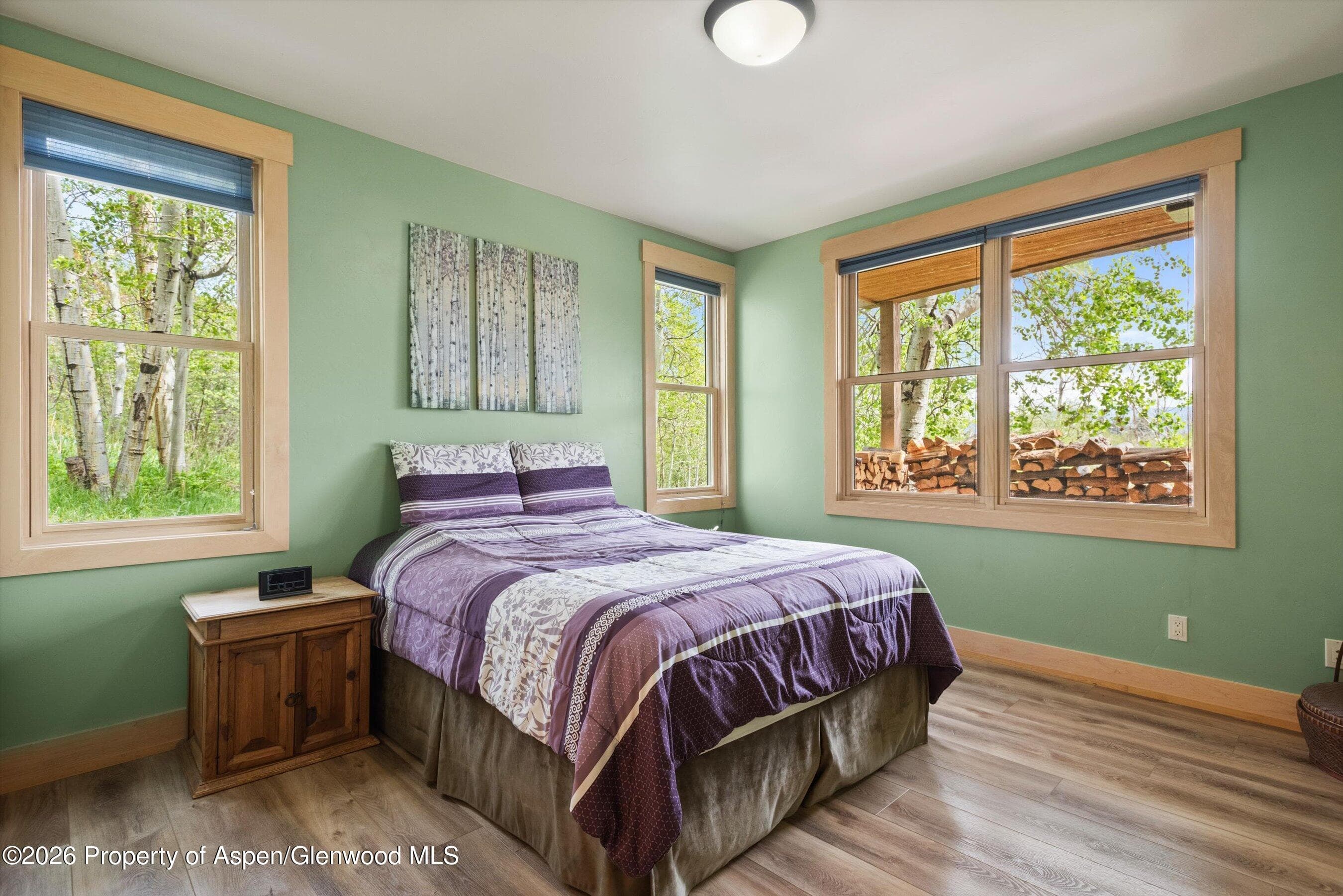 707 Shield O Road, Snowmass, CO 81654 - Photo 34