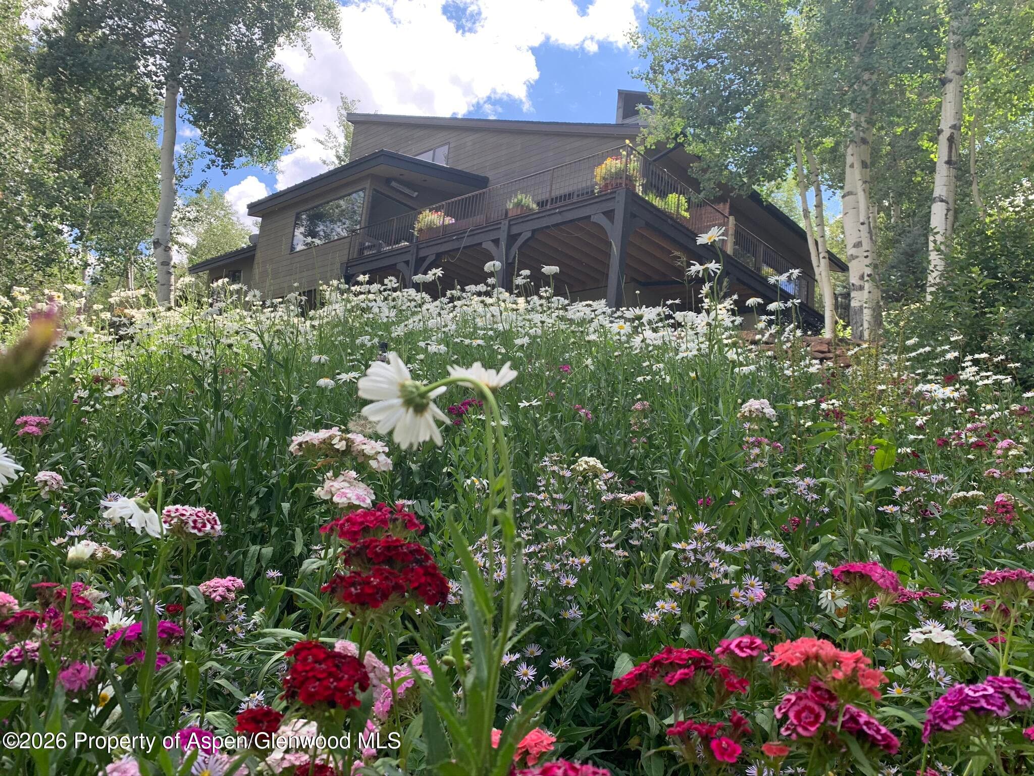 1592 Faraway Road, Snowmass Village, CO 81615 - Photo 44