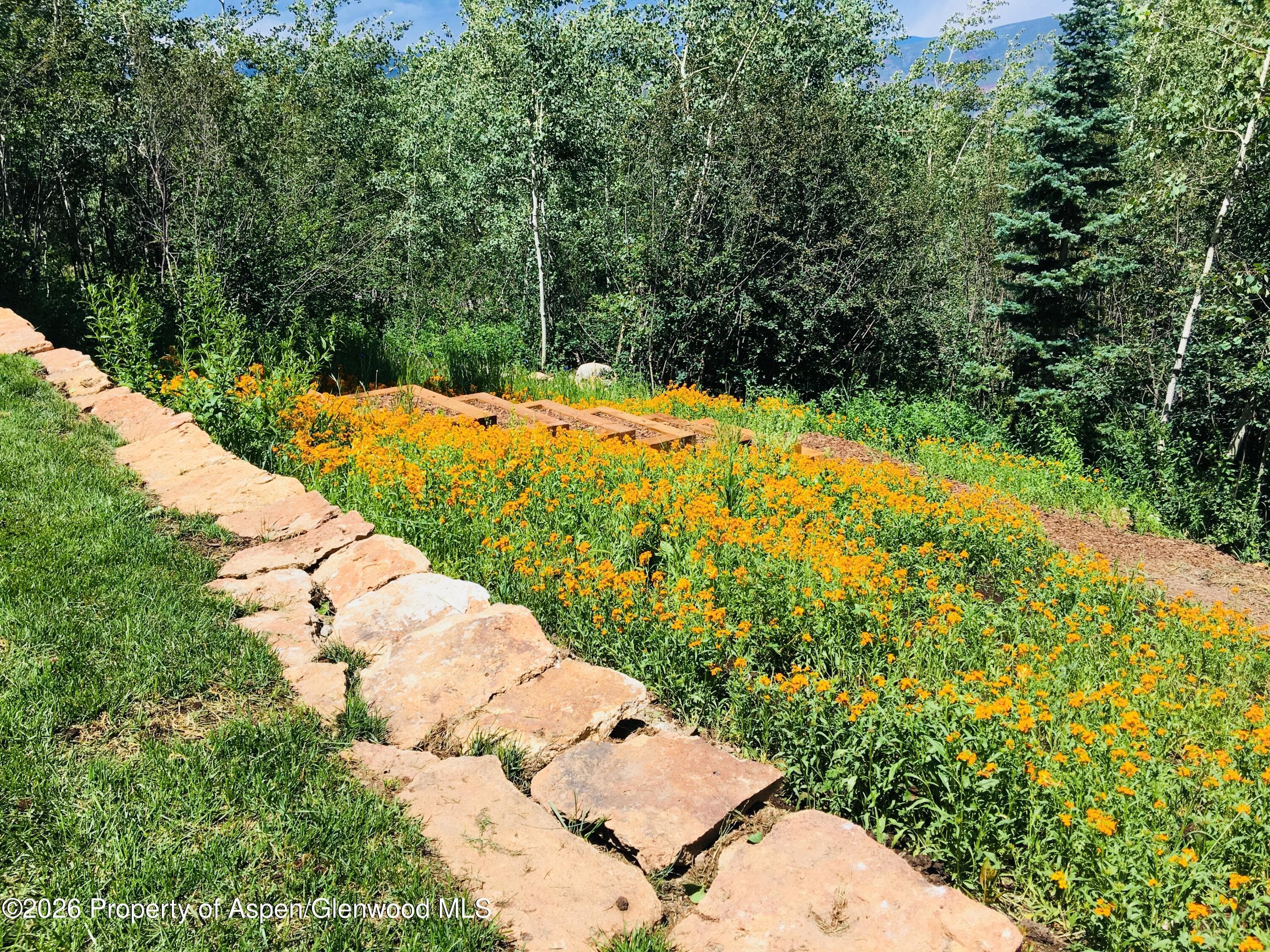 1592 Faraway Road, Snowmass Village, CO 81615 - Photo 42