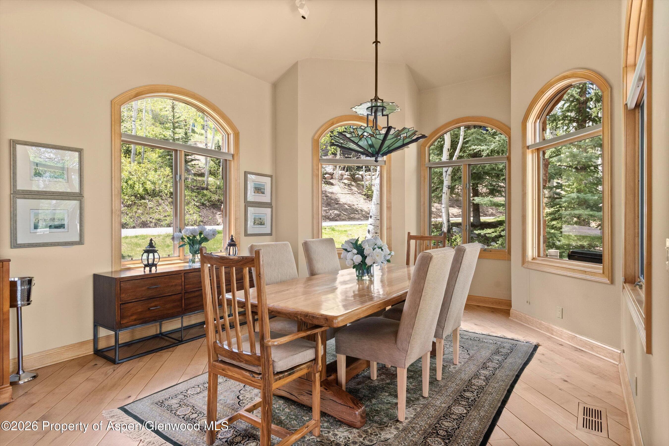 221 Stellar Lane, Snowmass Village, CO 81615 - Photo 23
