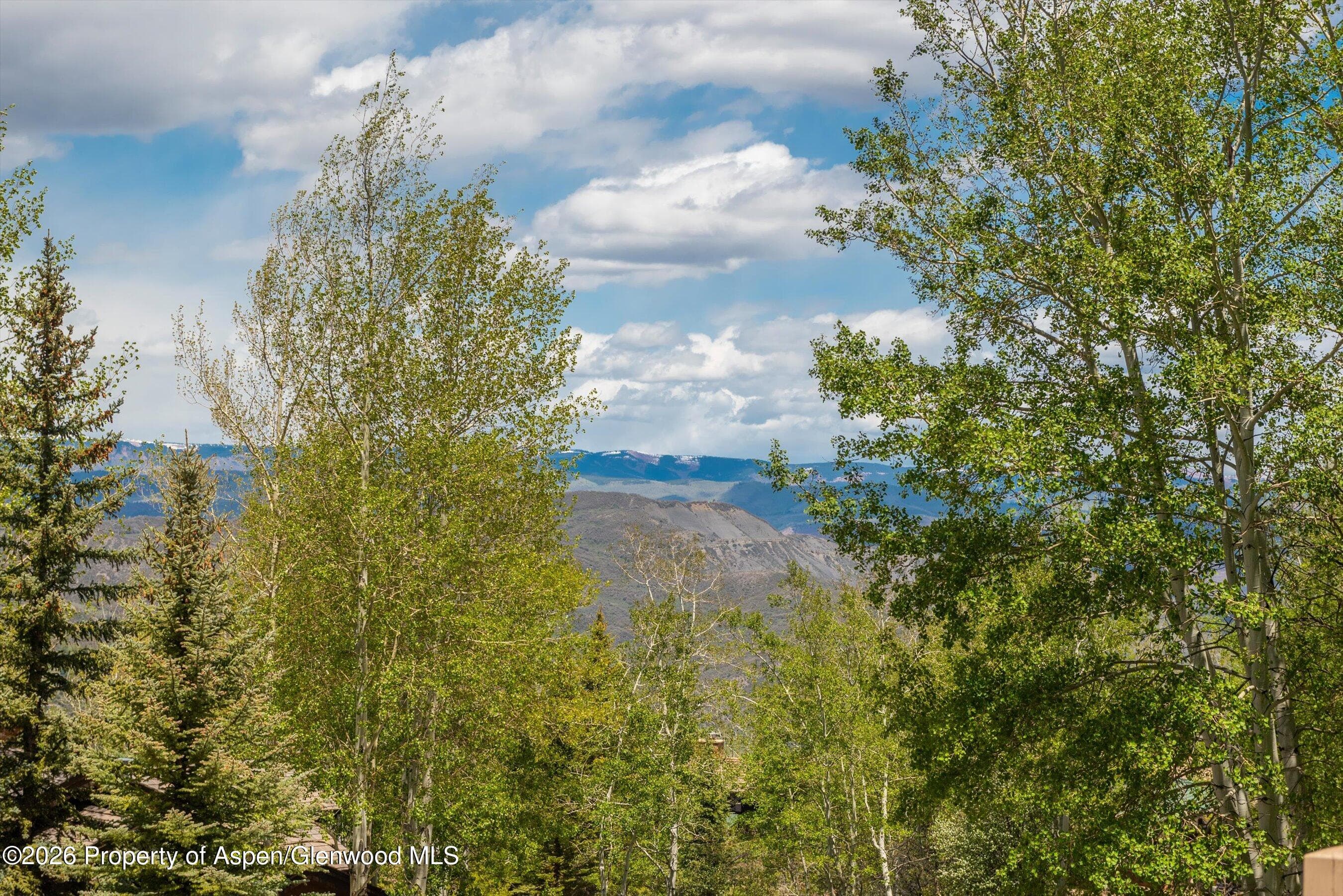221 Stellar Lane, Snowmass Village, CO 81615 - Photo 41