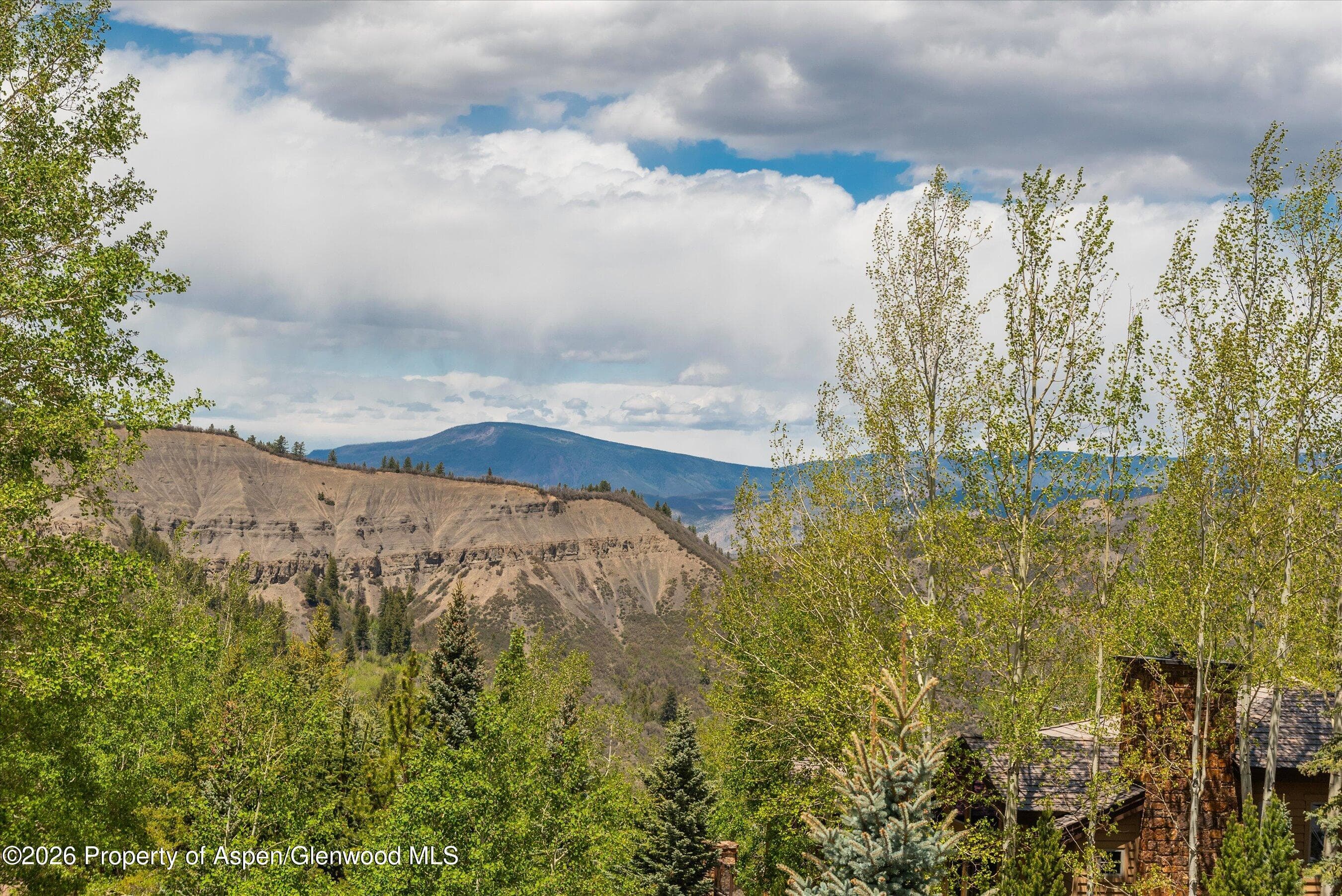 221 Stellar Lane, Snowmass Village, CO 81615 - Photo 42
