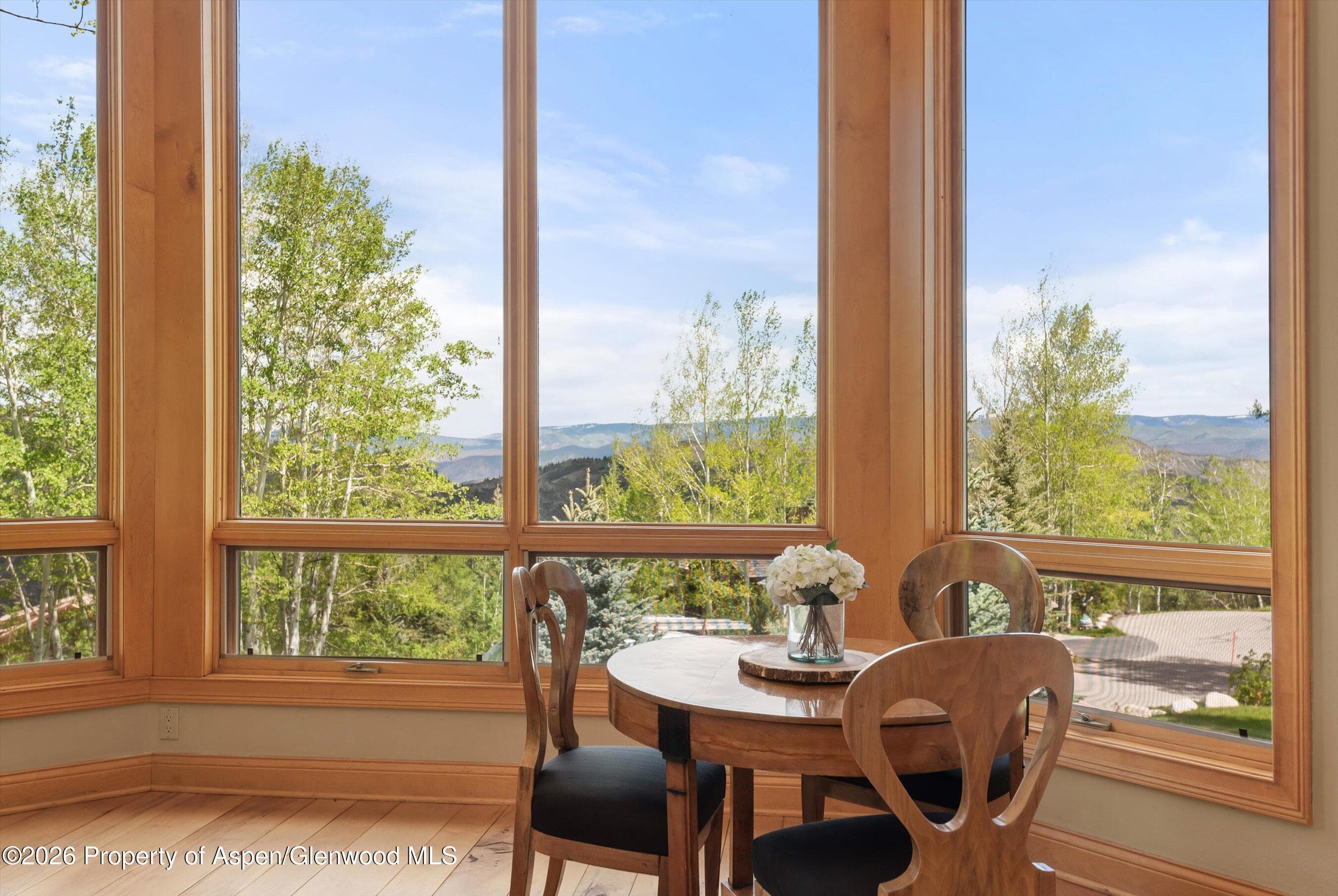 221 Stellar Lane, Snowmass Village, CO 81615 - Photo 19