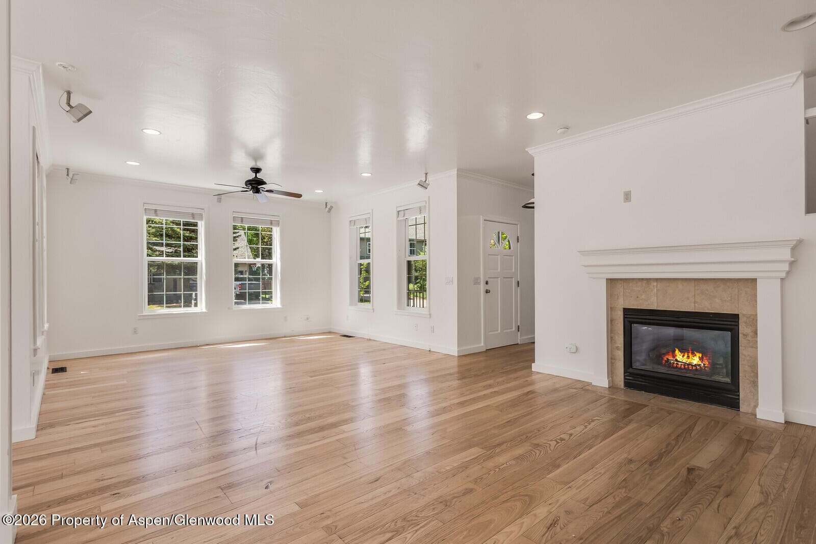 355 Meadow Drive, Basalt, CO 81621 - Photo 5
