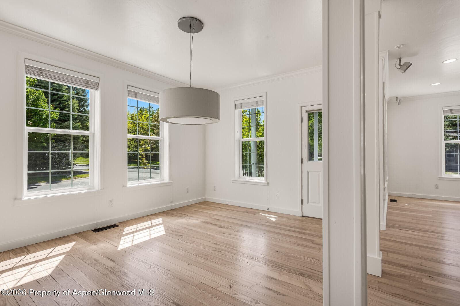 355 Meadow Drive, Basalt, CO 81621 - Photo 6