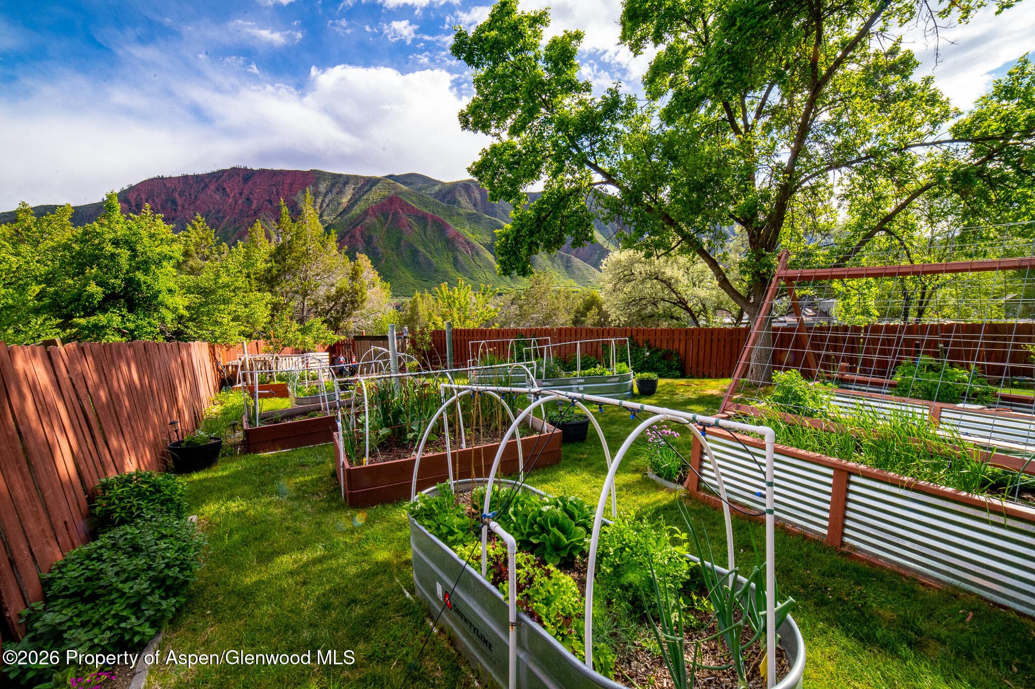 111 Cardinal Lane, Glenwood Springs, CO 81601 - Photo 12