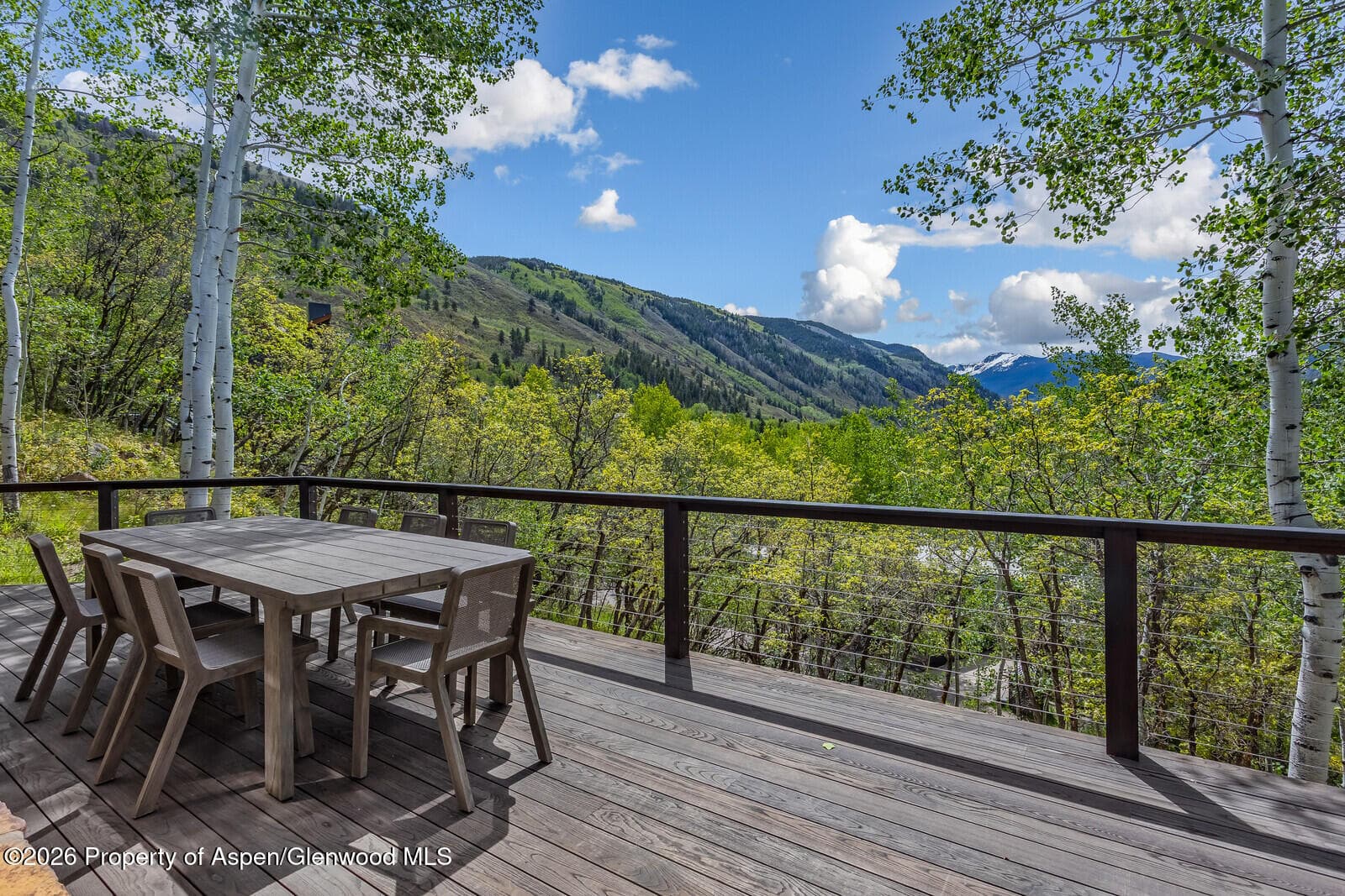 222 Roaring Fork Drive, Aspen, CO 81611 - Photo 70