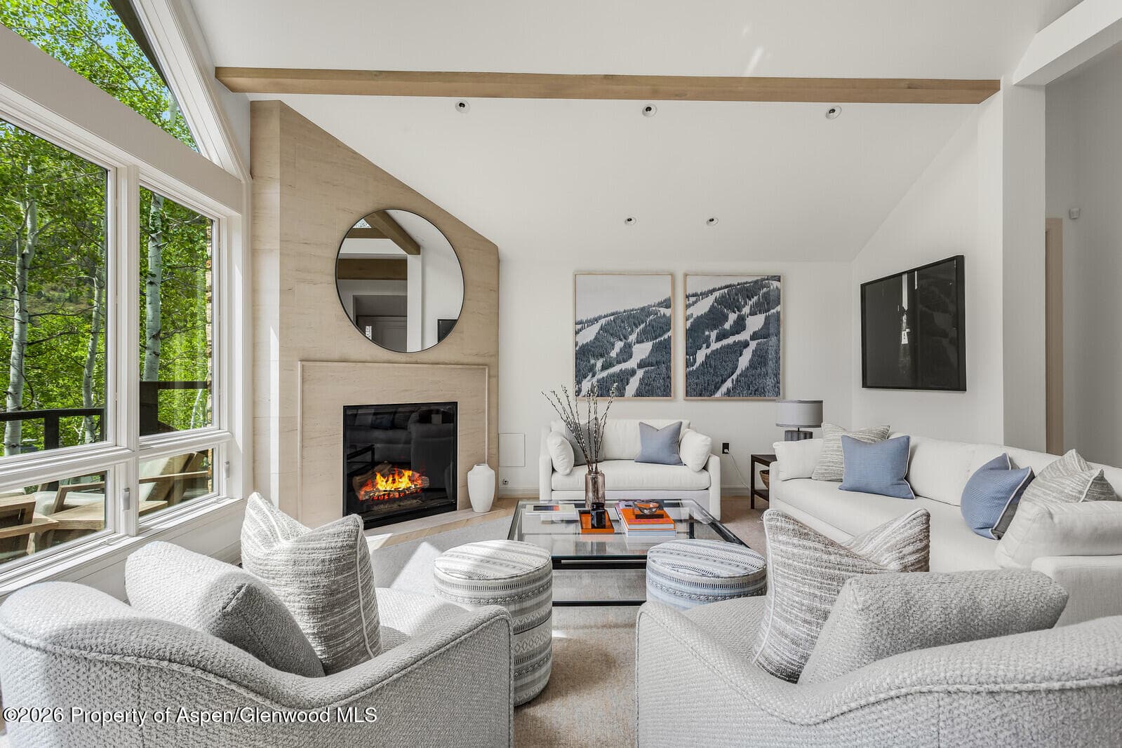 222 Roaring Fork Drive, Aspen, CO 81611 - Photo 5