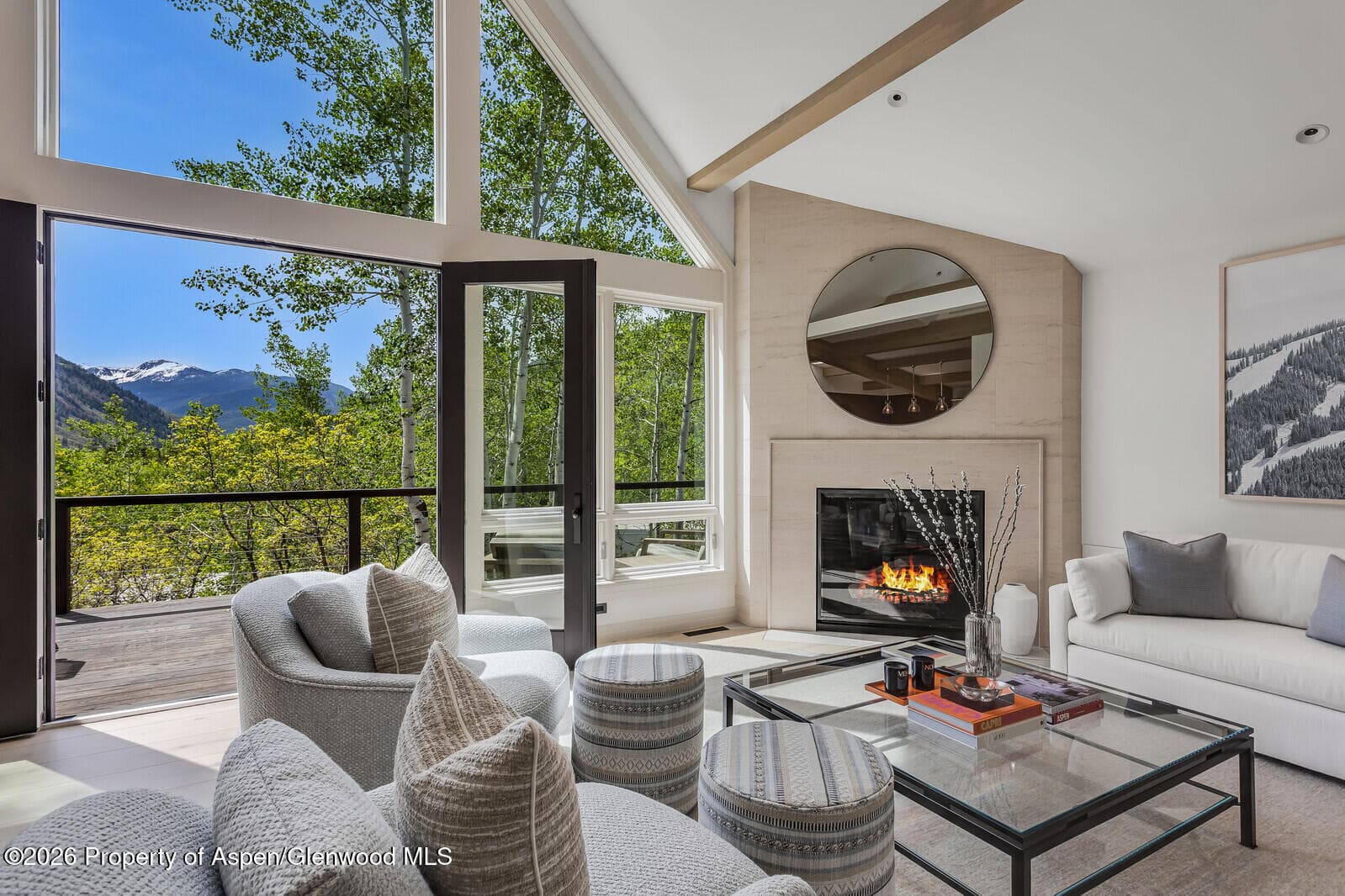 222 Roaring Fork Drive, Aspen, CO 81611 - Photo 3