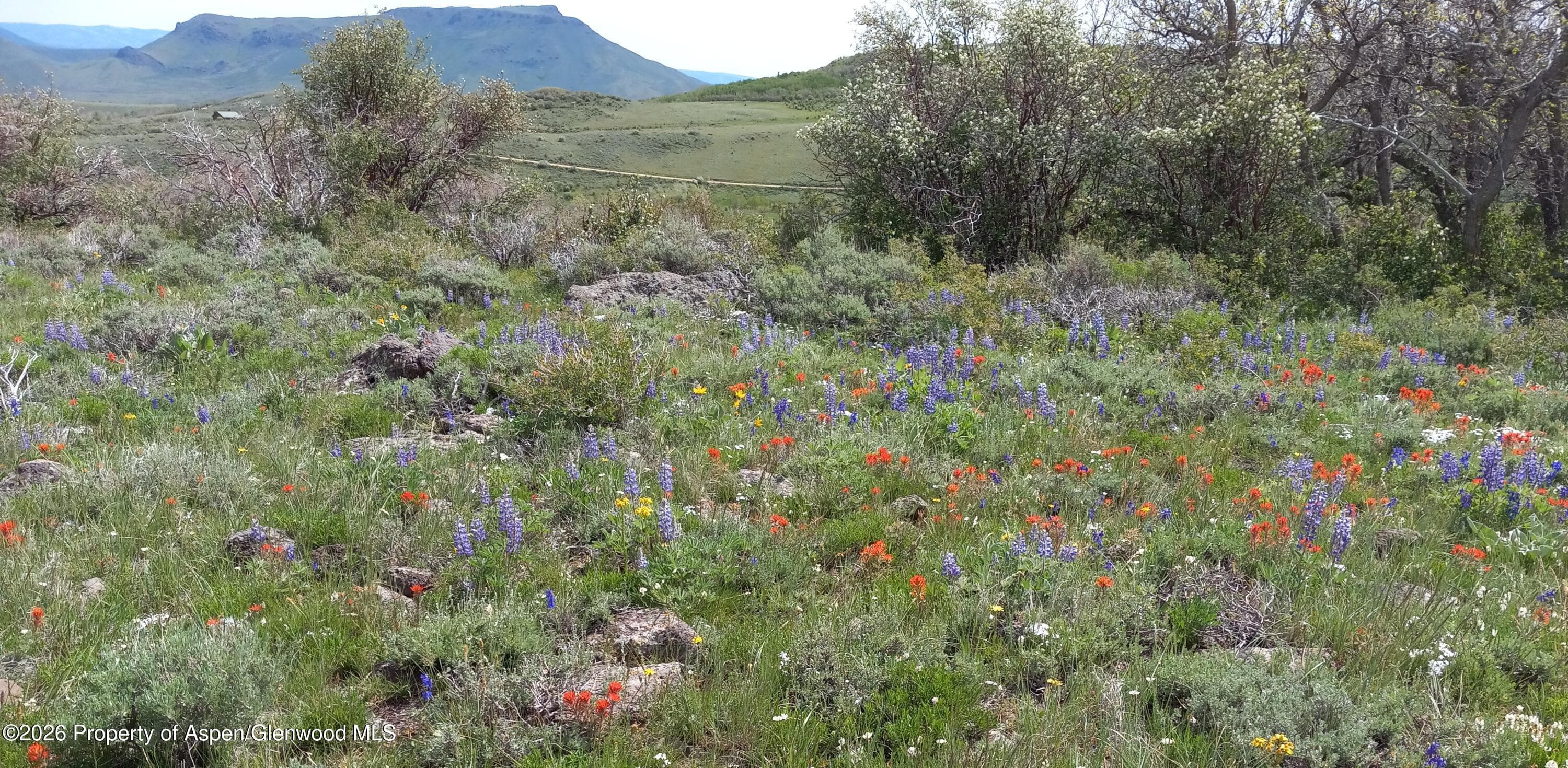 1065 Eagle Loop Lot 758, Craig, CO 81625 - Photo 26