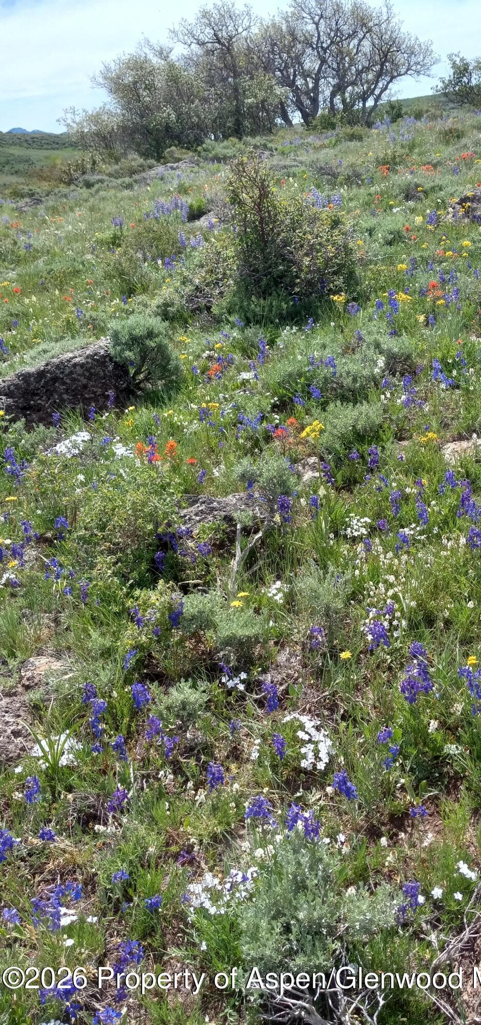1065 Eagle Loop Lot 758, Craig, CO 81625 - Photo 27