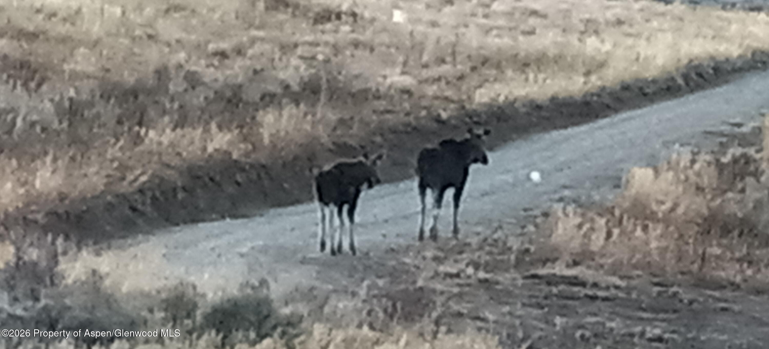 1065 Eagle Loop Lot 758, Craig, CO 81625 - Photo 33