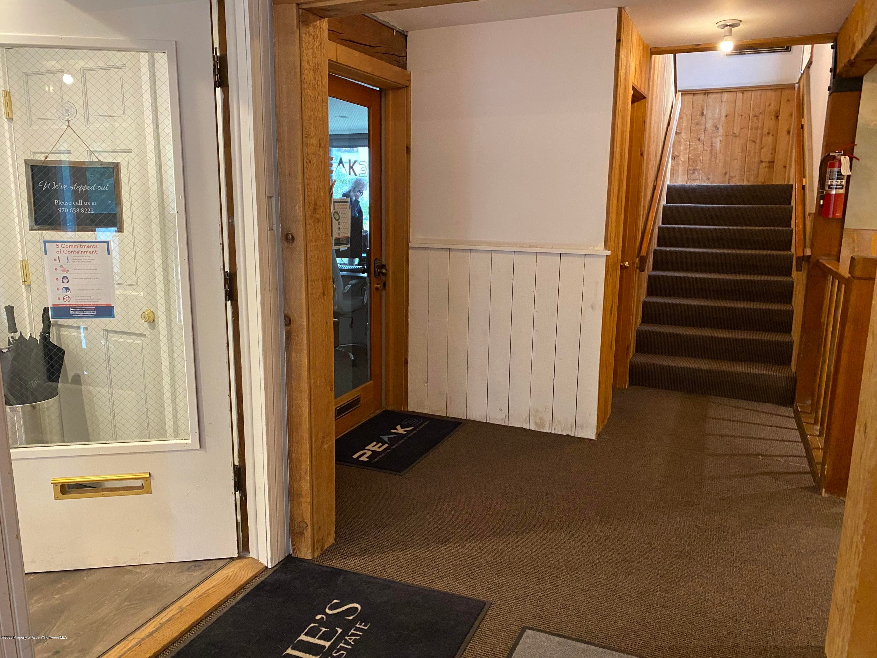 601 E Hopkins Avenue 202, Aspen, CO 81611 - Photo 11