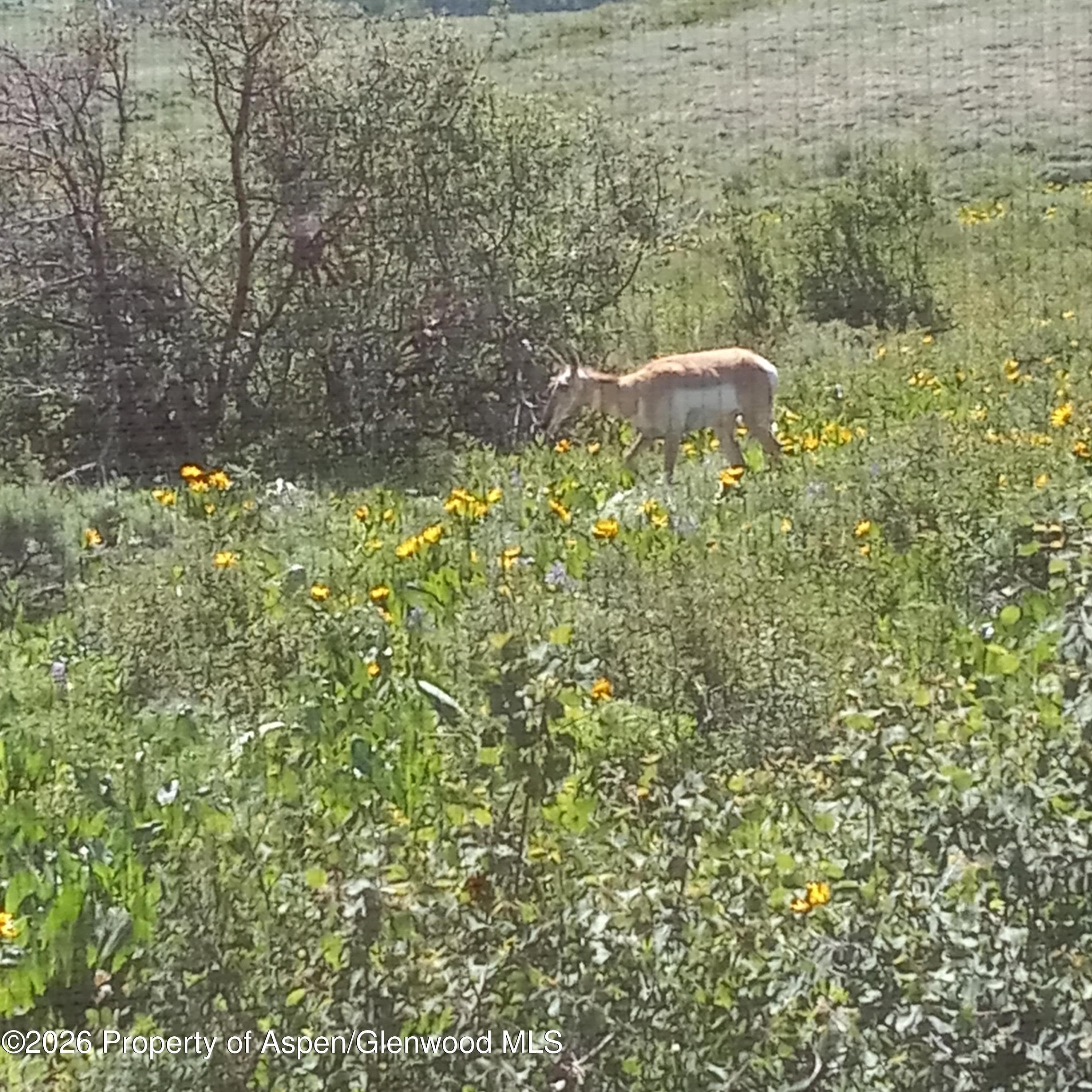 1065 Eagle Loop Lot 758, Craig, CO 81625 - Photo 34