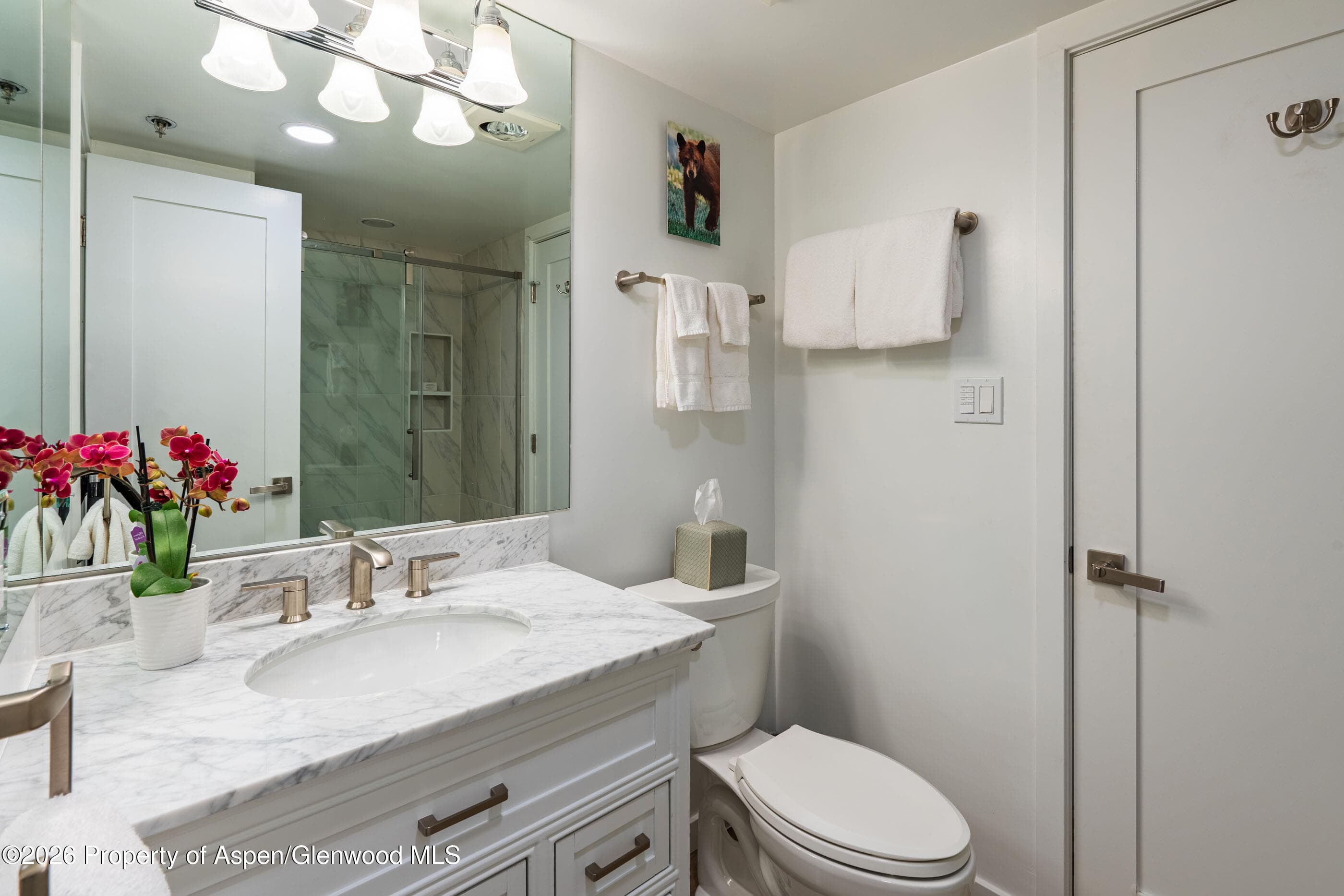 30 Anderson Lane 806, Snowmass Village, CO 81615 - Photo 13