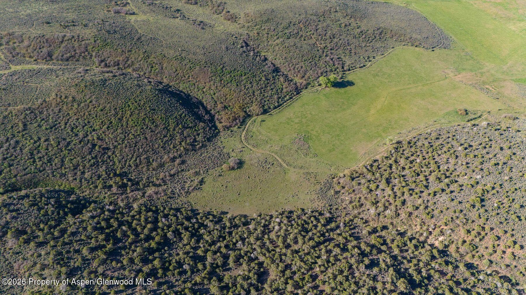 Tbd County Road 102, Lot 5, Carbondale, CO 81623 - Photo 4