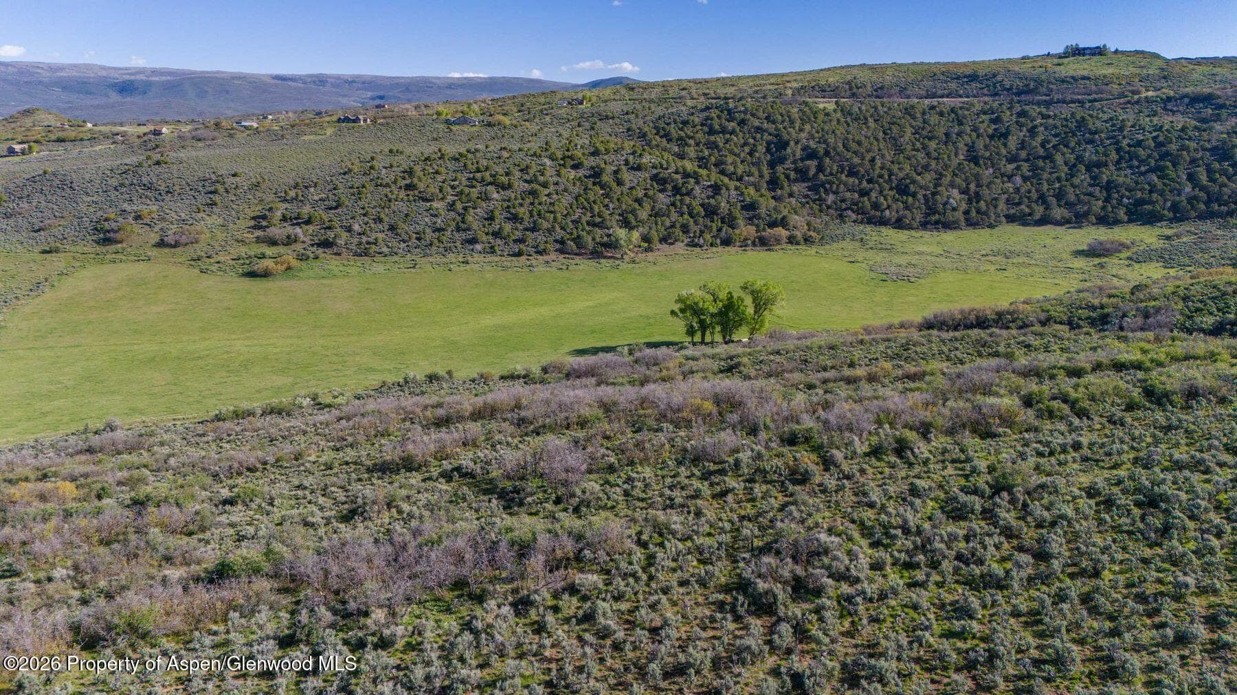 Tbd County Road 102, Lot 5, Carbondale, CO 81623 - Photo 9