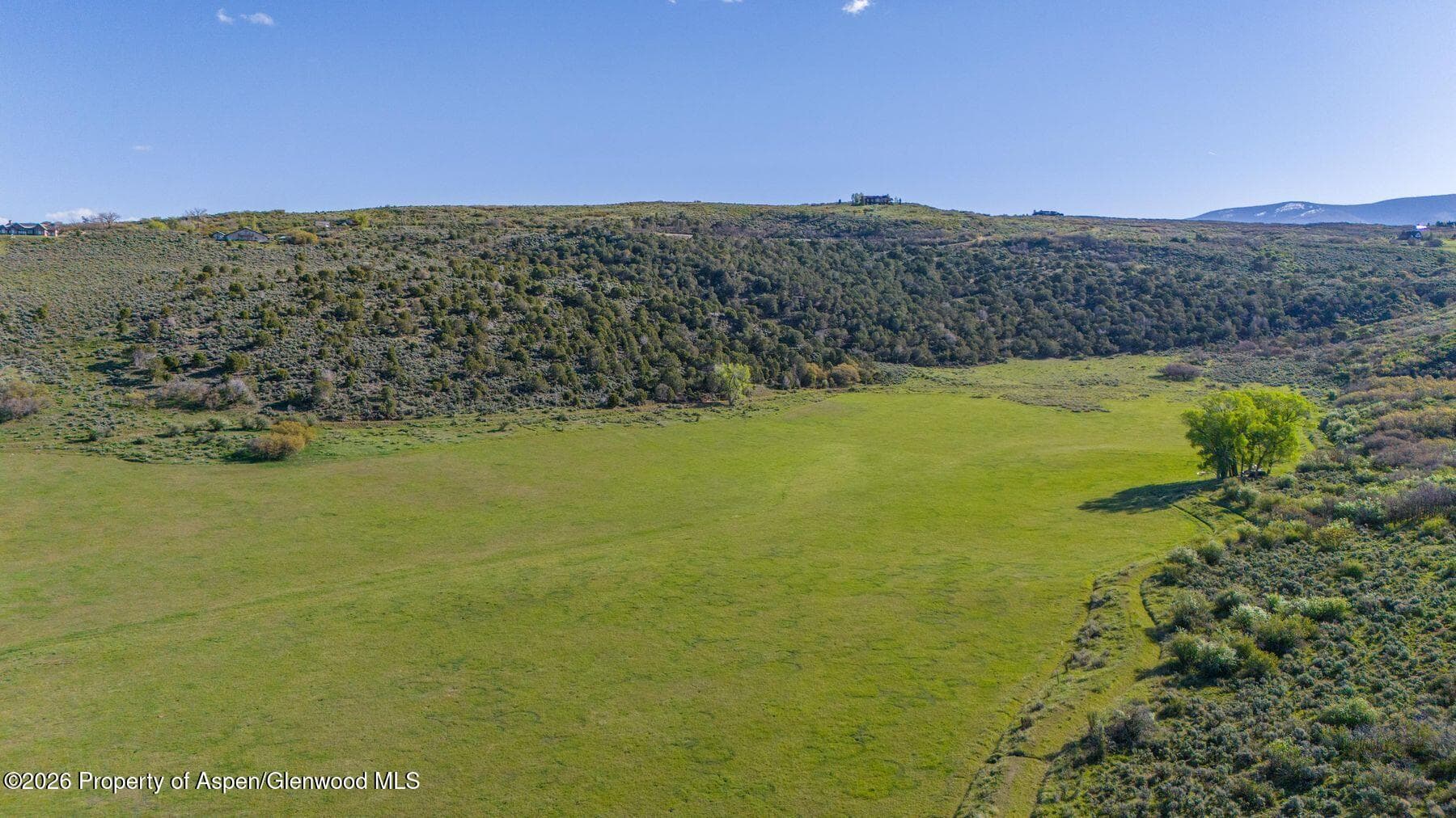 Tbd County Road 102, Lot 5, Carbondale, CO 81623 - Photo 11