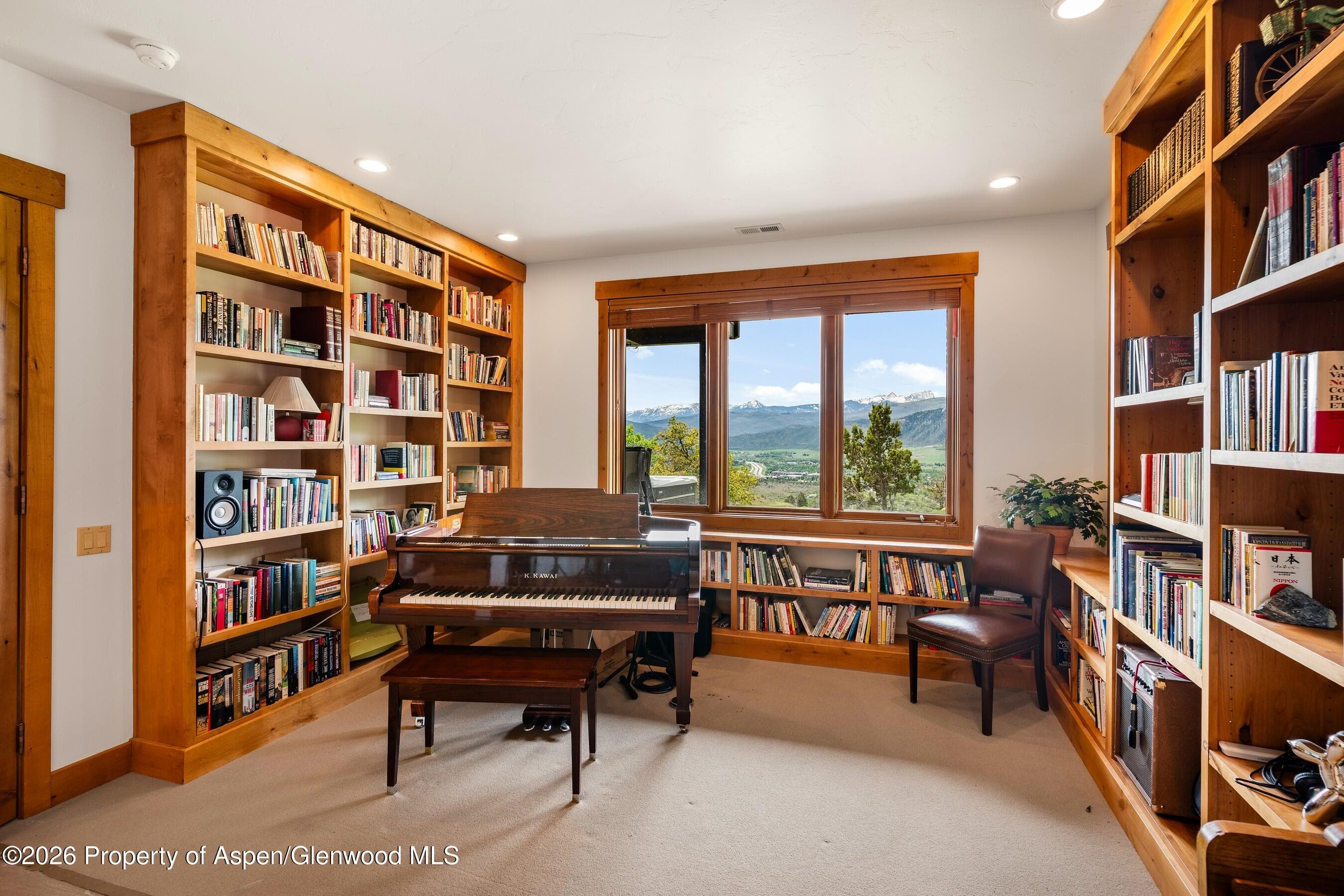 775 Vista Hi Drive, Carbondale, CO 81623 - Photo 31