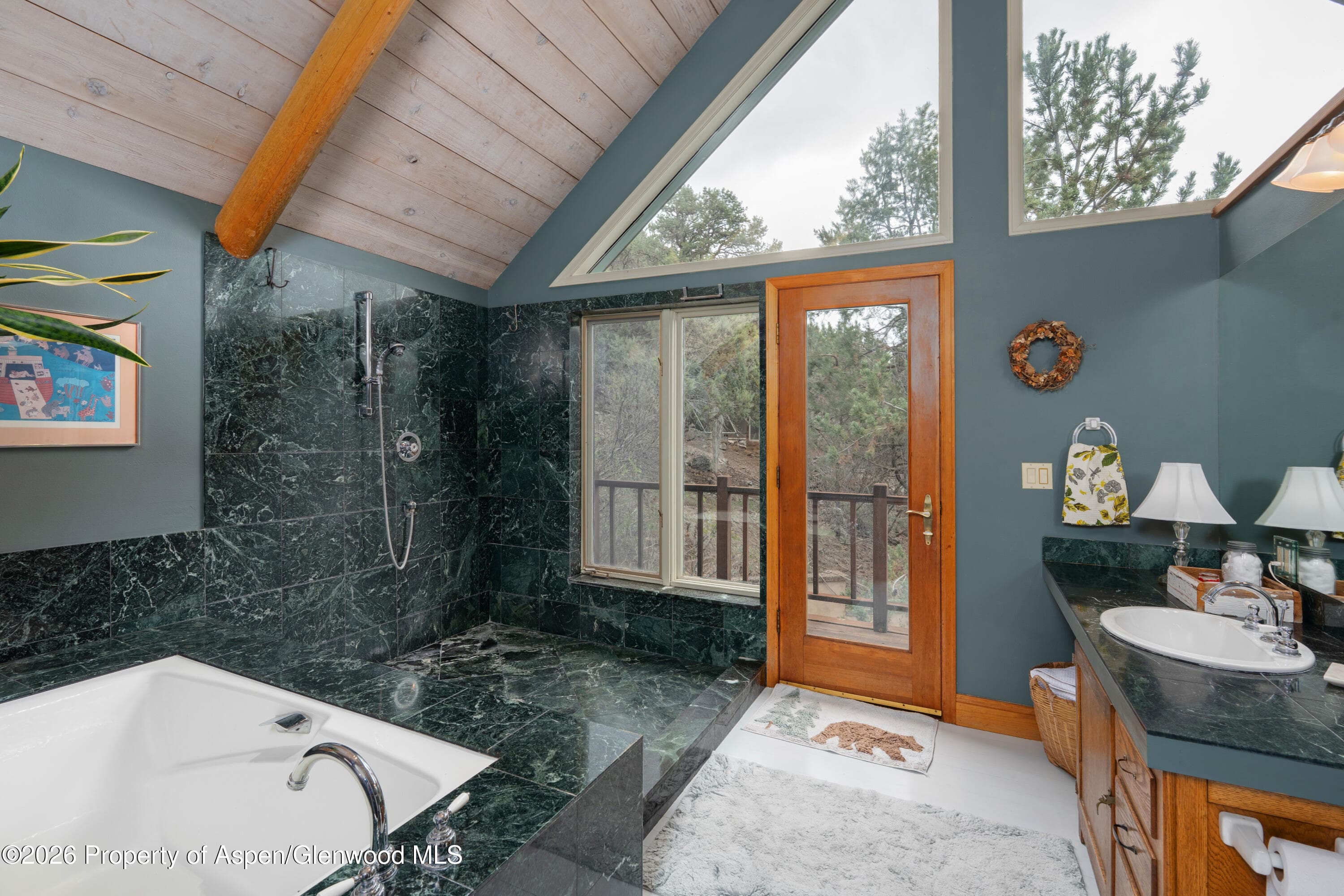 422 Sopris Creek Road, Basalt, CO 81621 - Photo 19