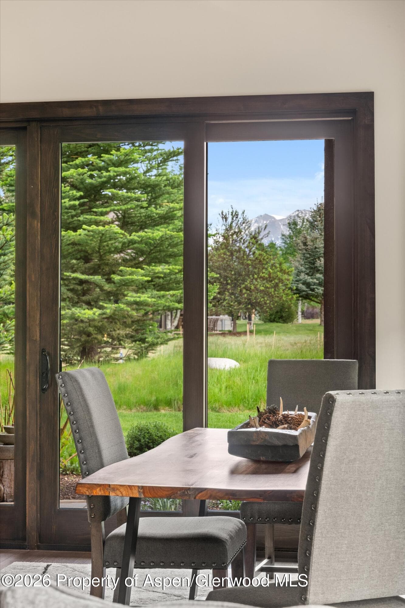 285 Saddleback Road, Carbondale, CO 81623 - Photo 14