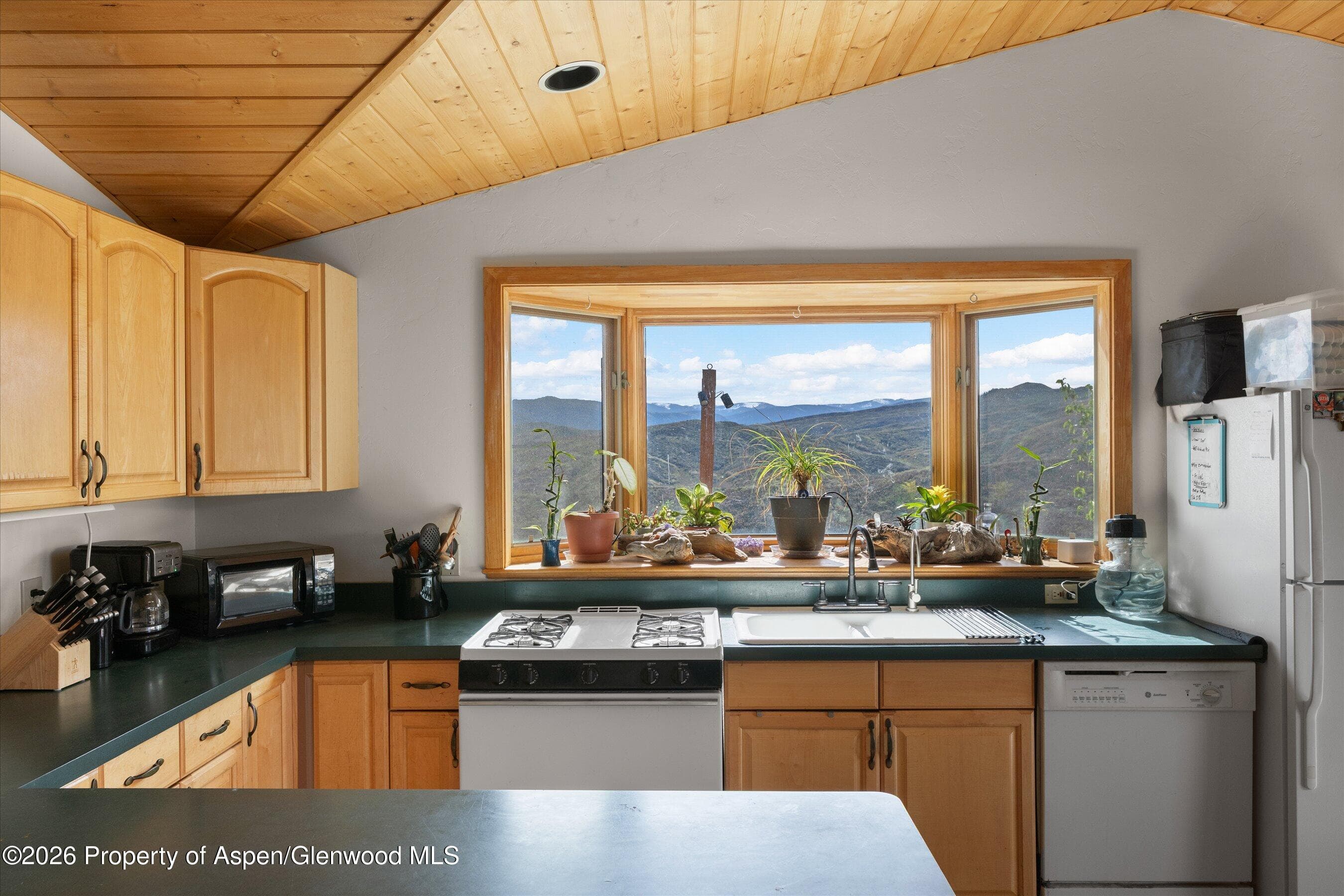 115 Rural Mountain Way, Snowmass, CO 81654 - Photo 28