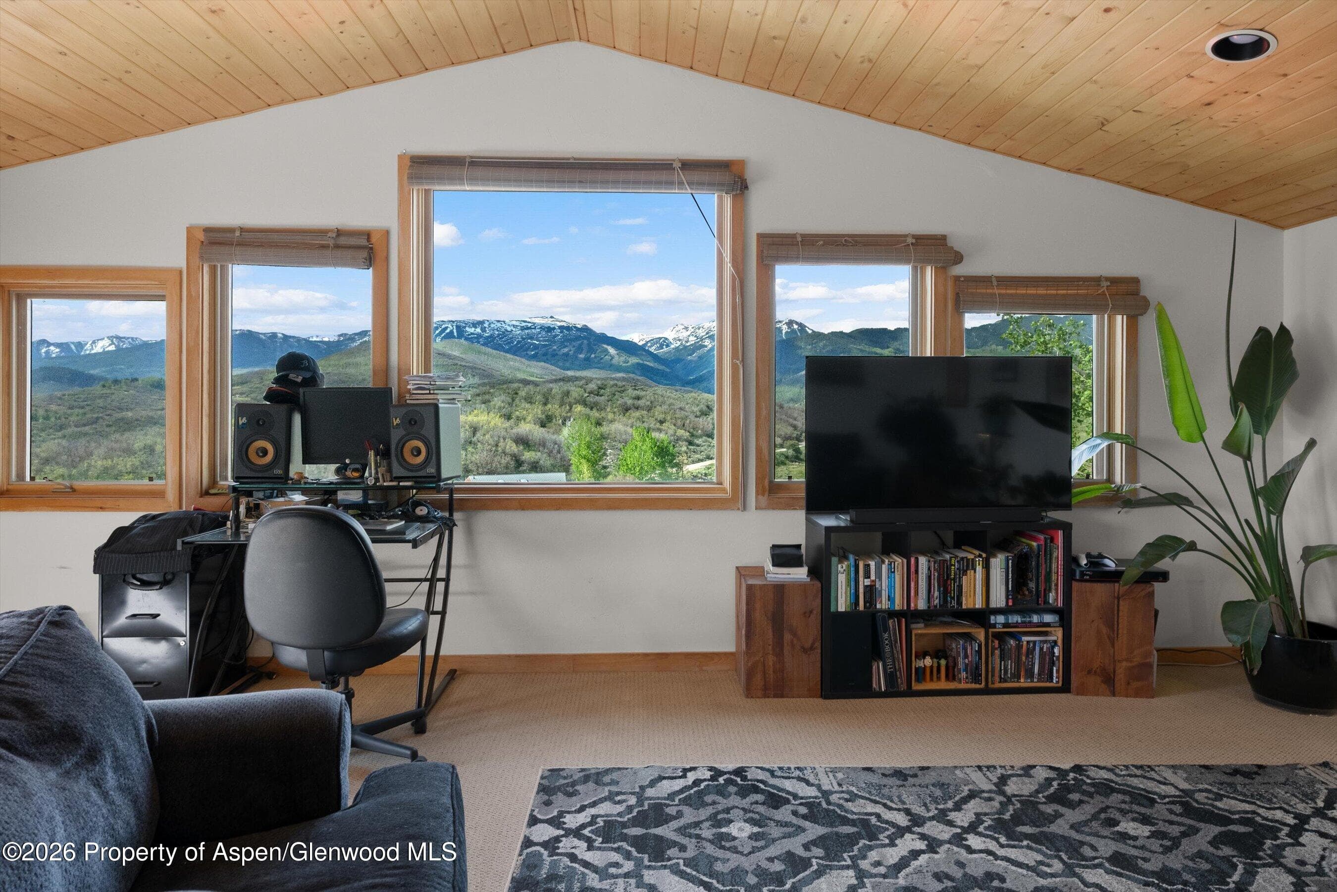115 Rural Mountain Way, Snowmass, CO 81654 - Photo 26
