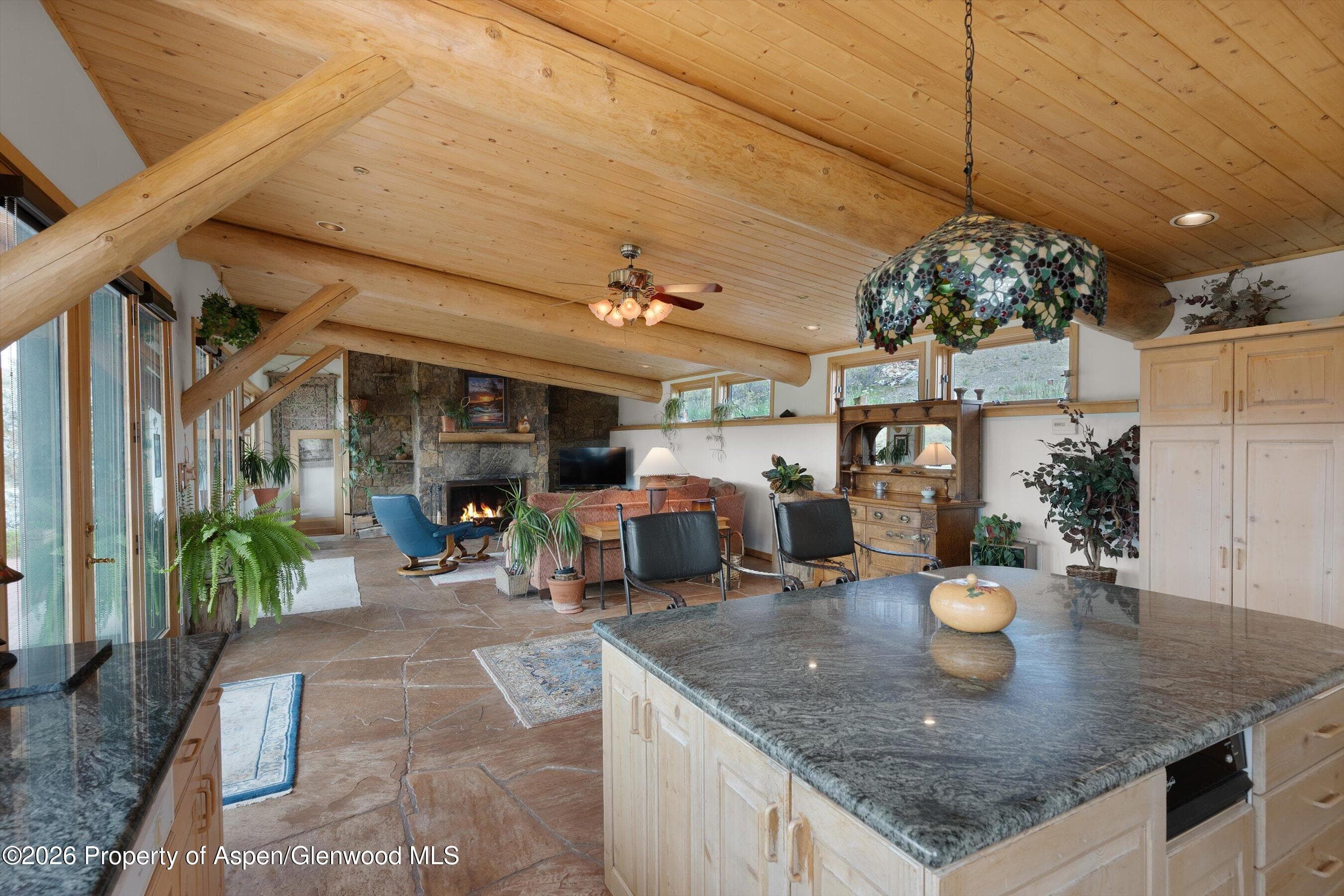 115 Rural Mountain Way, Snowmass, CO 81654 - Photo 10