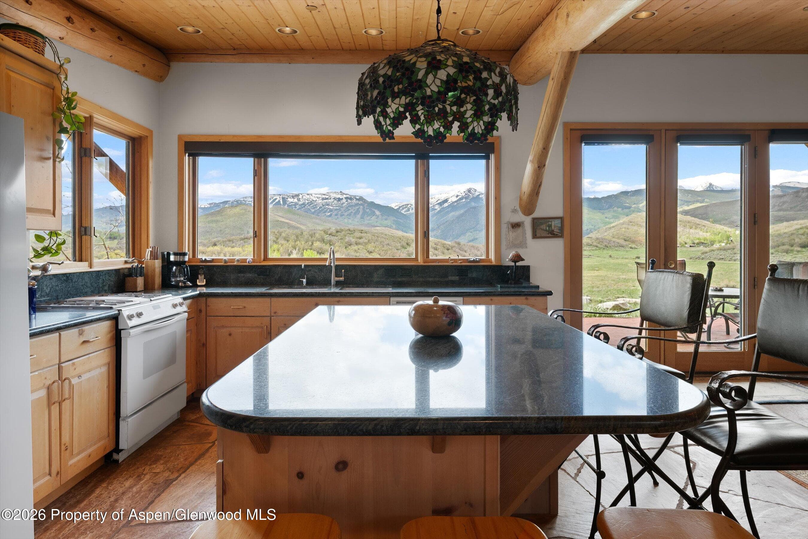115 Rural Mountain Way, Snowmass, CO 81654 - Photo 9