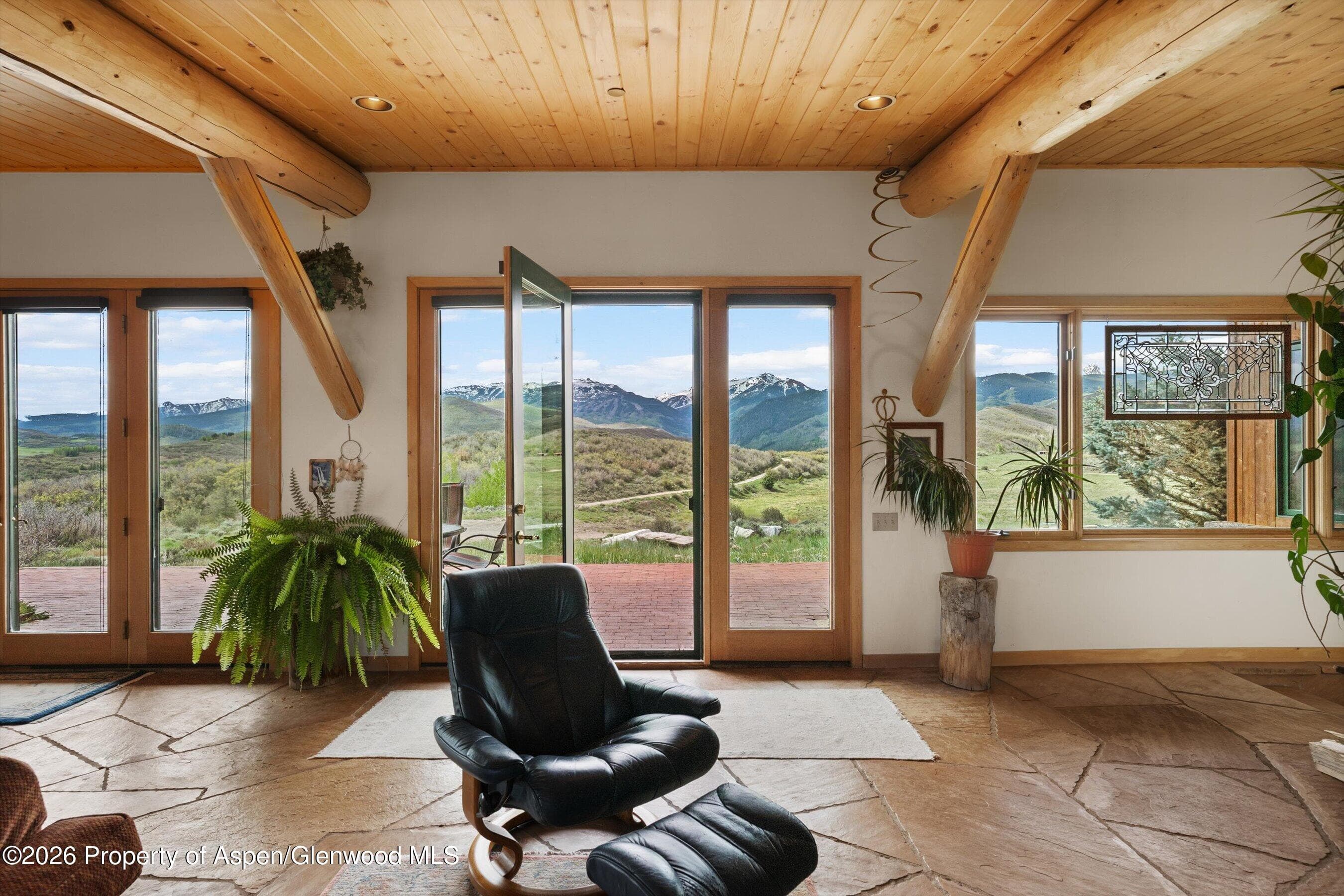 115 Rural Mountain Way, Snowmass, CO 81654 - Photo 6