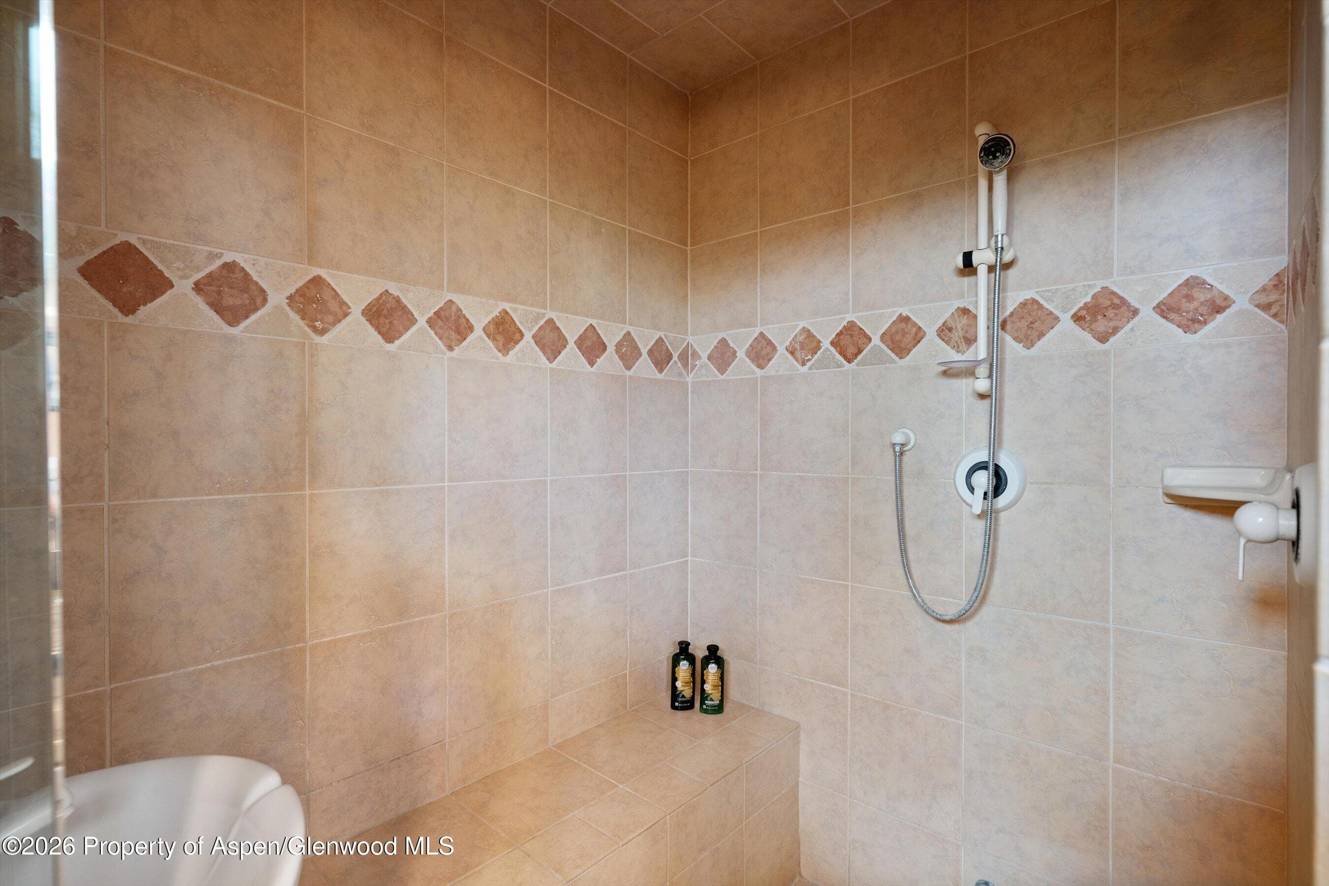 115 Rural Mountain Way, Snowmass, CO 81654 - Photo 20
