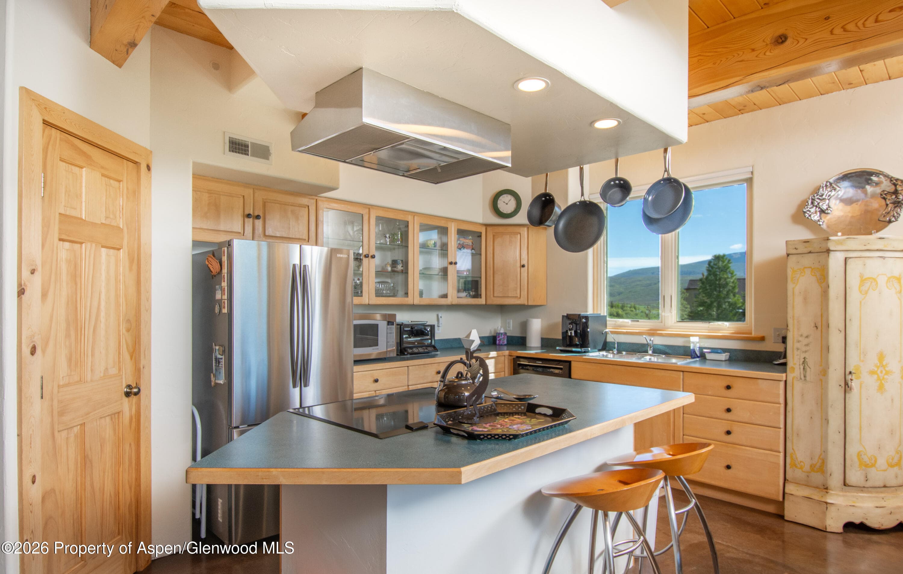 208 Grange Lane, Carbondale, CO 81623 - Photo 9