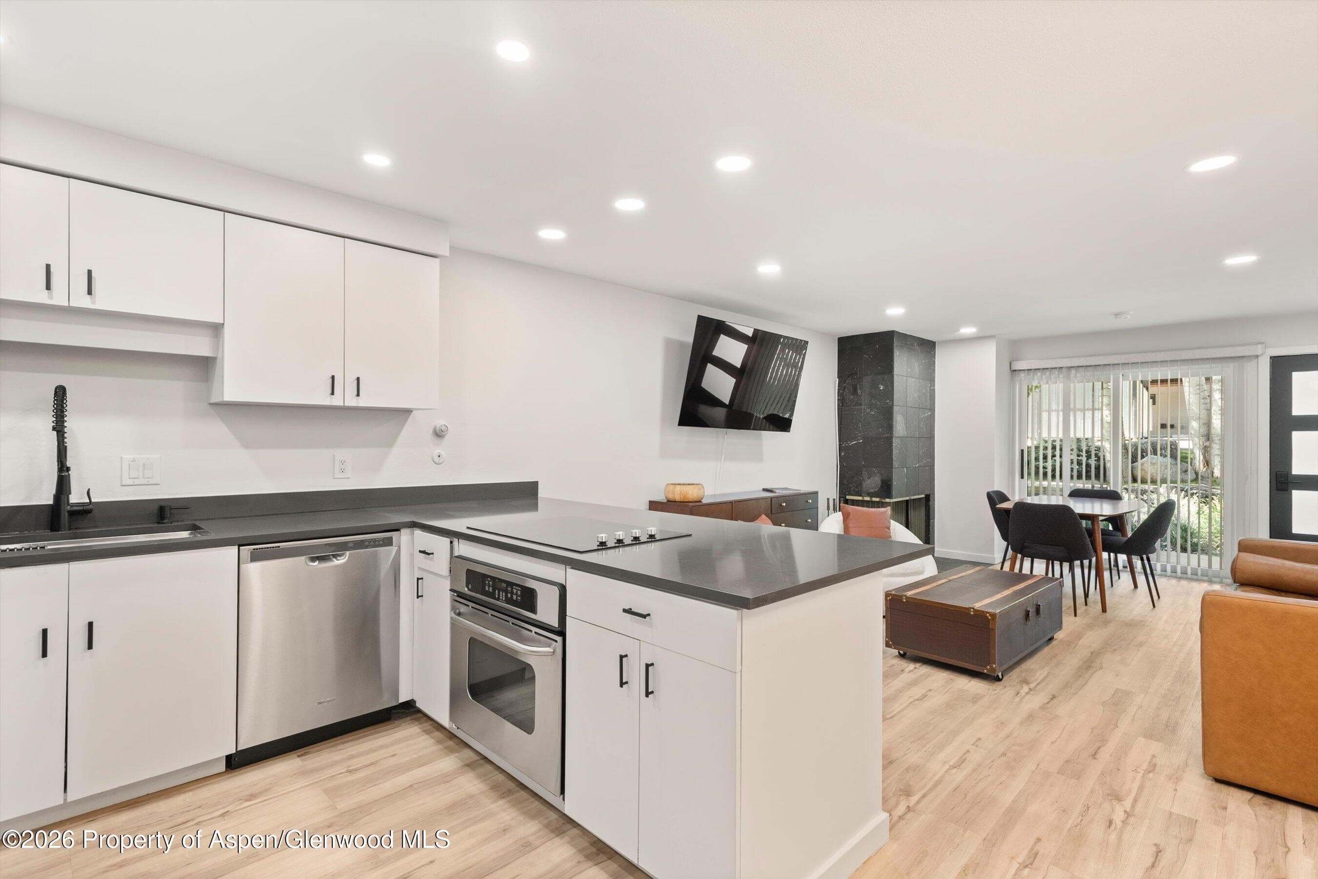 100 E Dean Street 1d, Aspen, CO 81611 - Photo 10