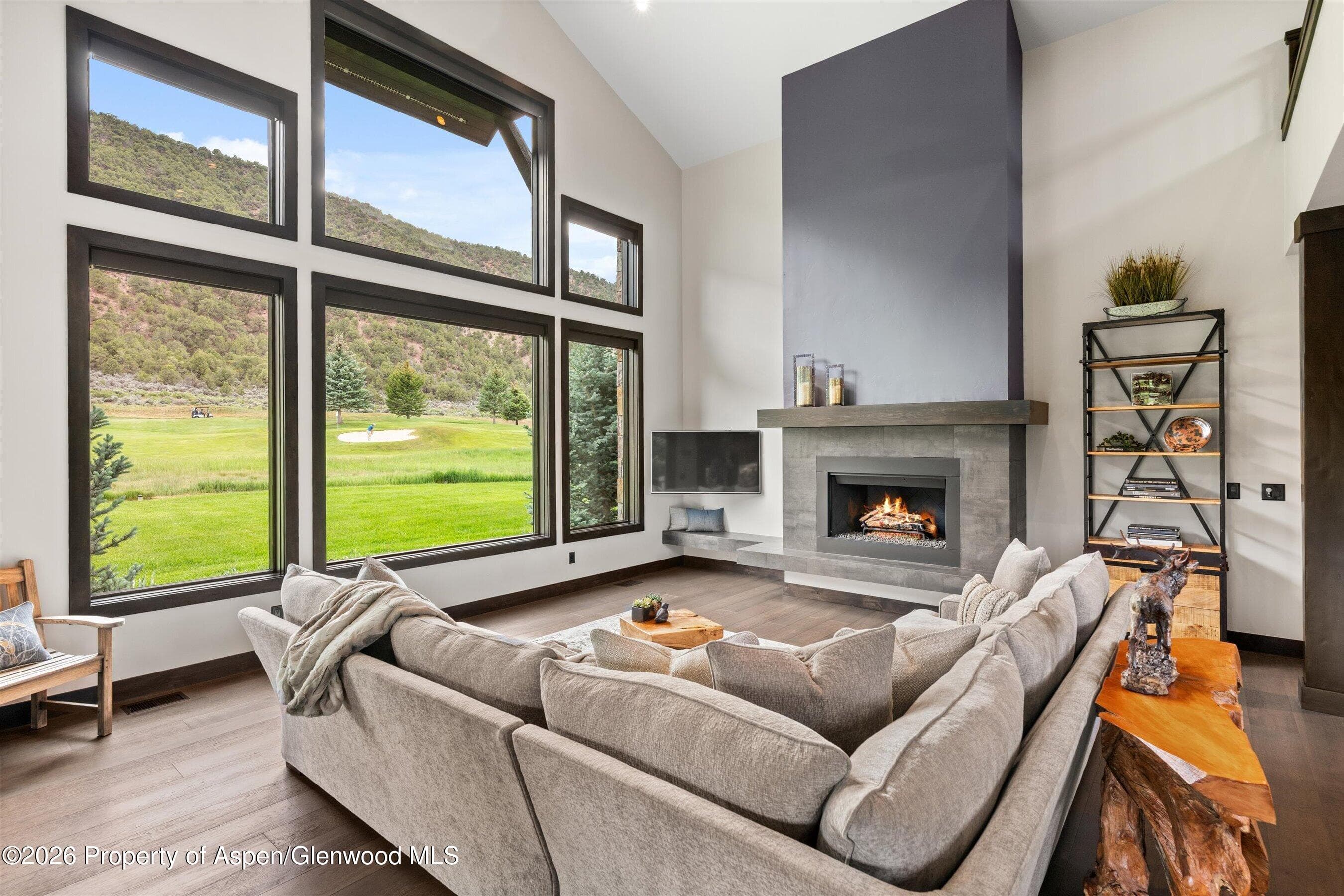 285 Saddleback Road, Carbondale, CO 81623 - Photo 5