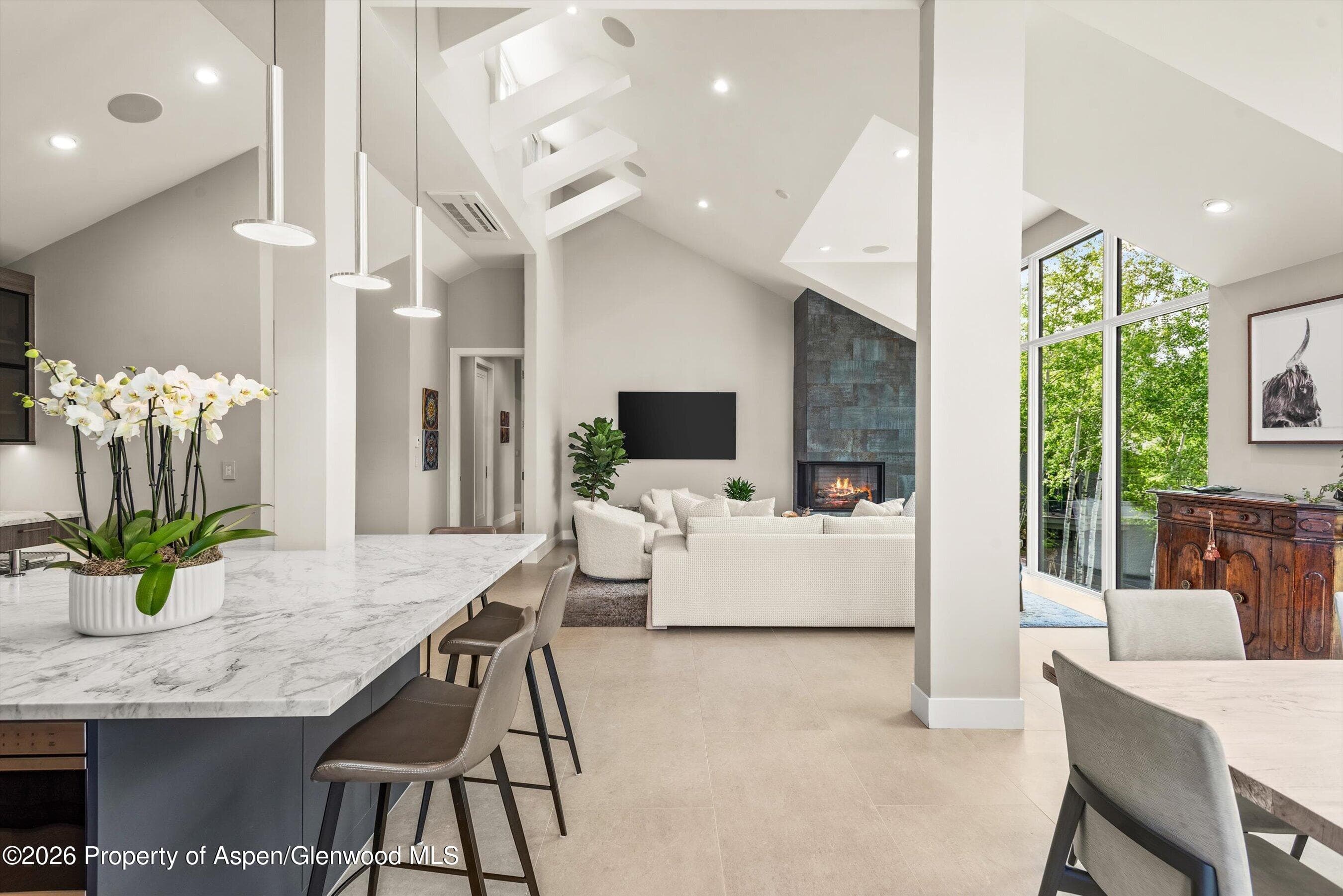 552 Mountain Laurel Drive, Aspen, CO 81611 - Photo 5