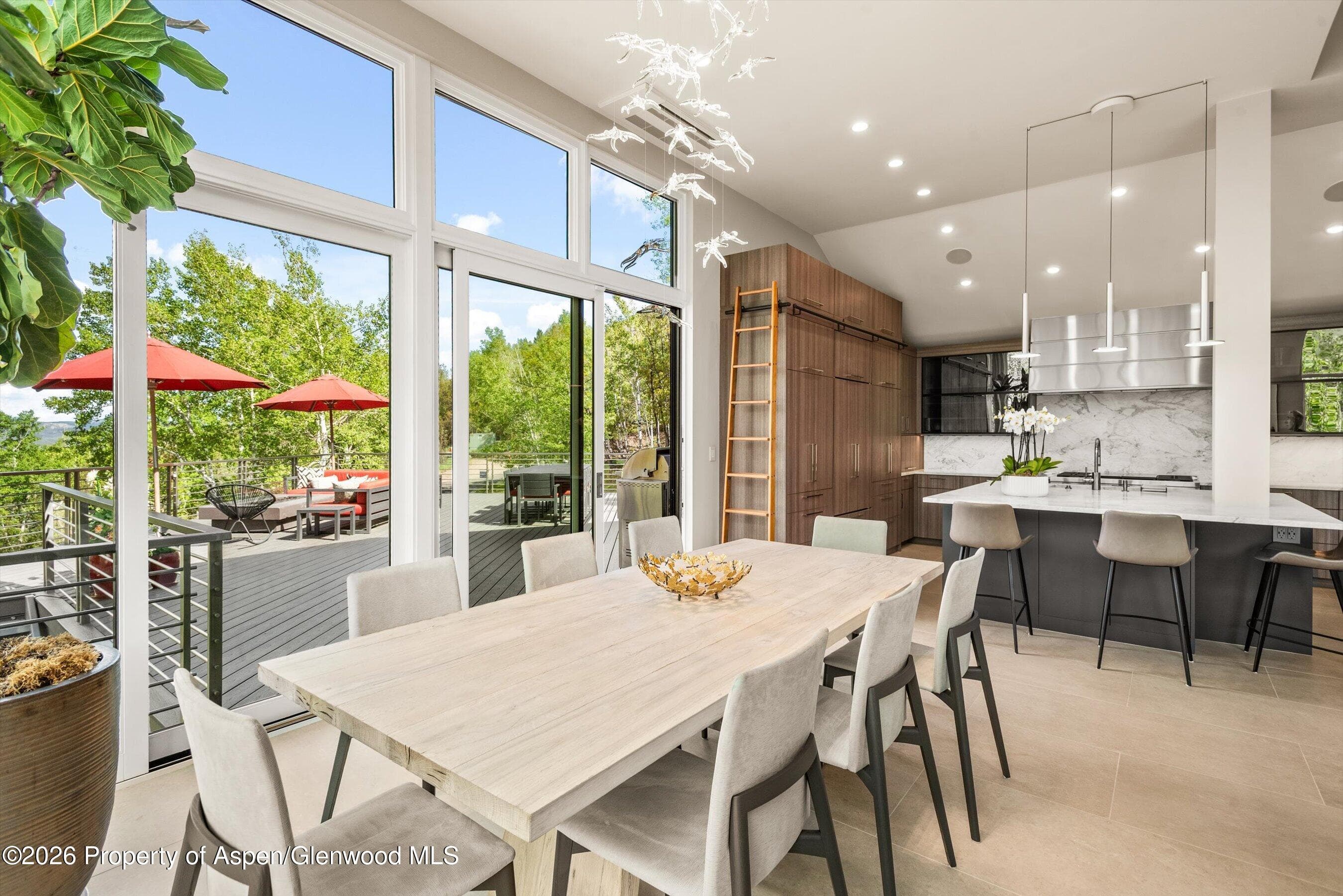 552 Mountain Laurel Drive, Aspen, CO 81611 - Photo 12