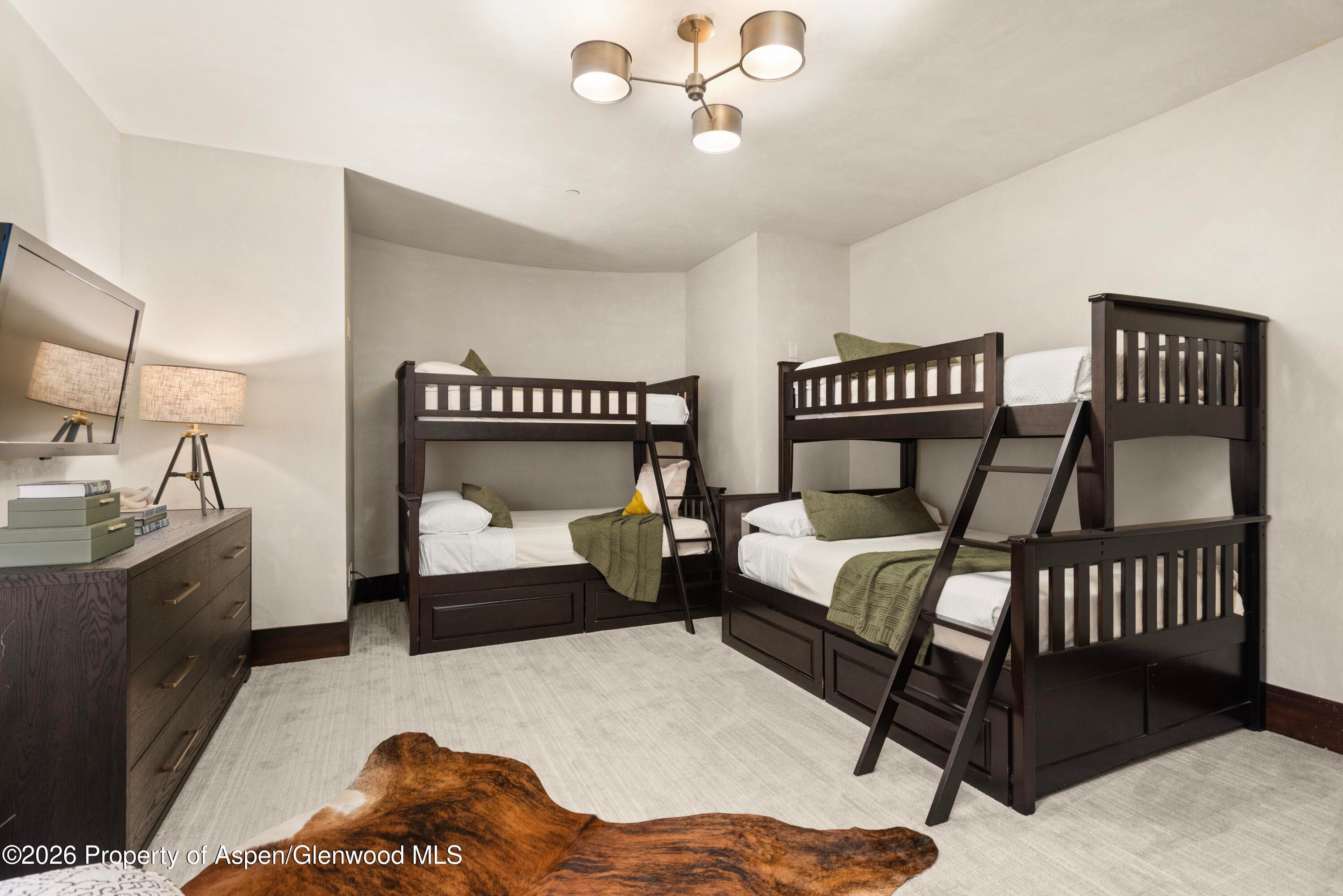 24 Little Cloud Trail, Aspen, CO 81611 - Photo 46