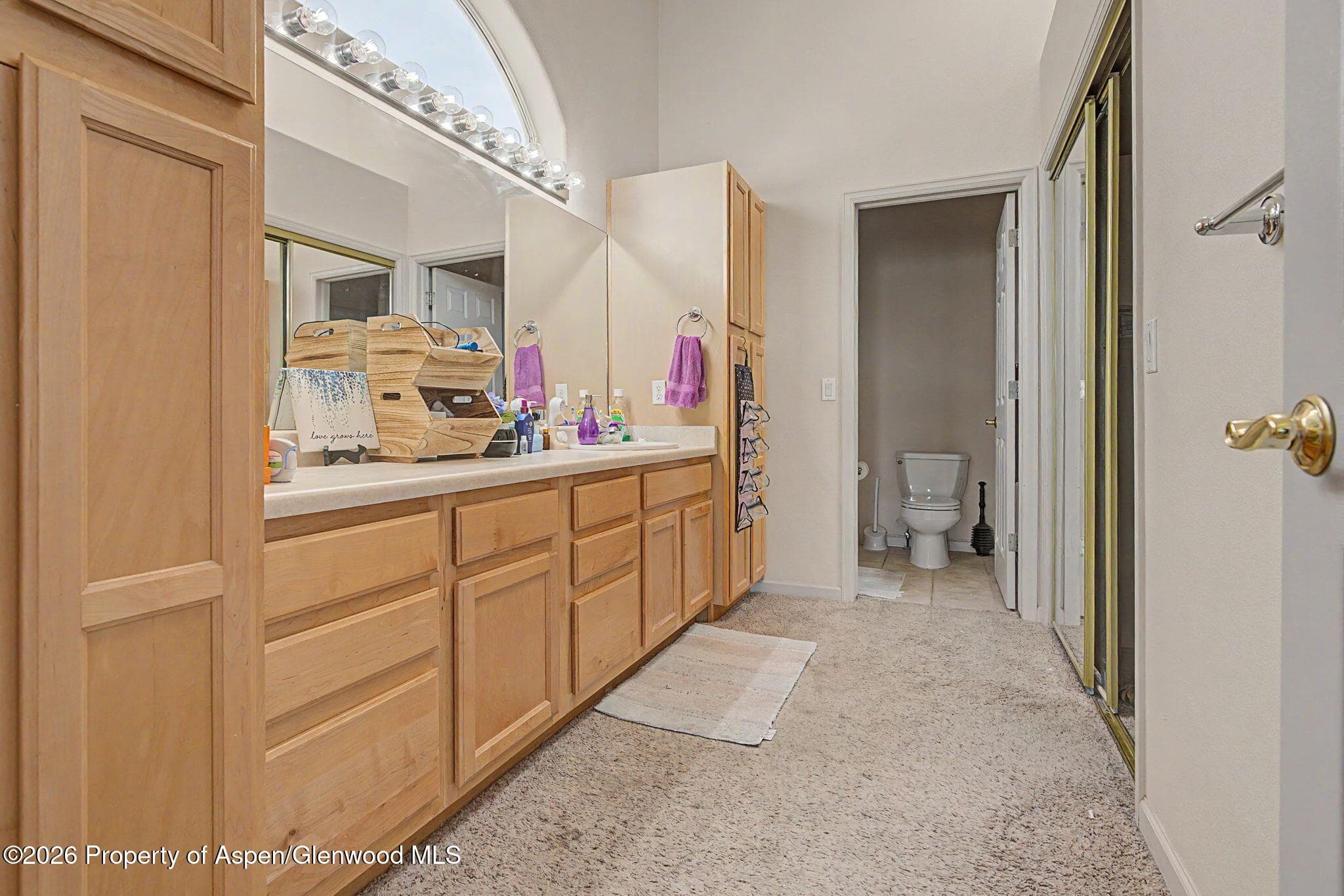 184 Ponderosa Circle, Battlement Mesa, CO 81635 - Photo 15
