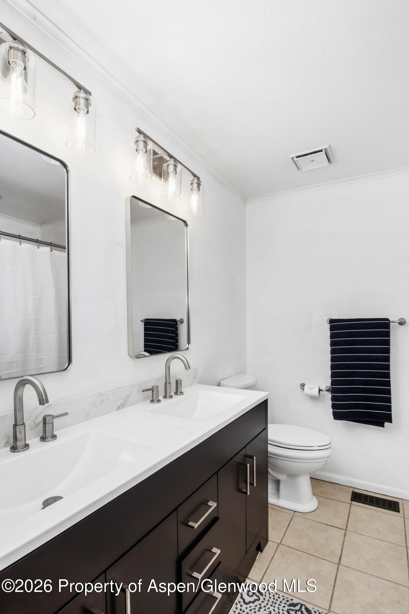 27 Pica Lane, Carbondale, CO 81623 - Photo 7