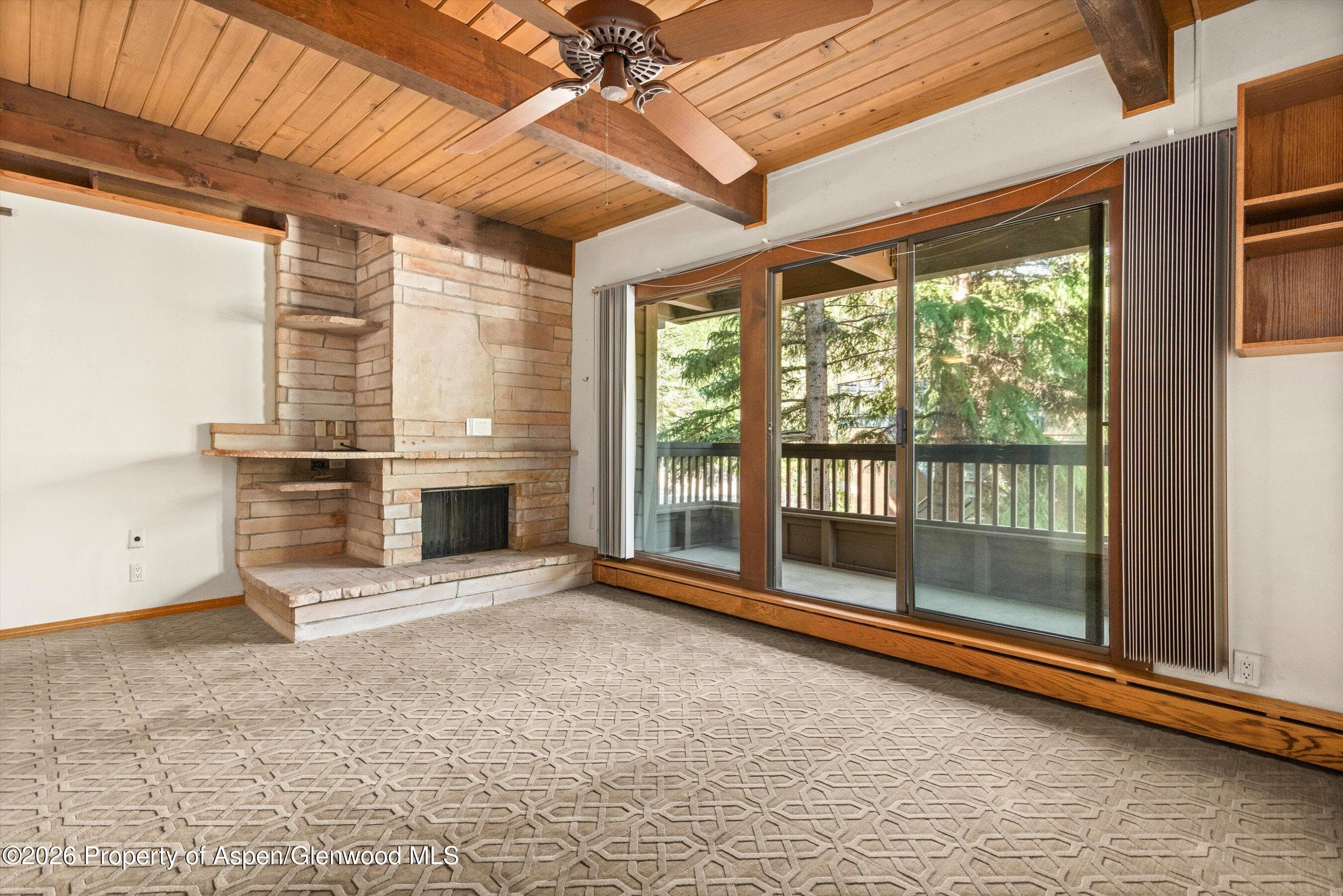 610 S West End Street J202, Aspen, CO 81611 - Photo 3